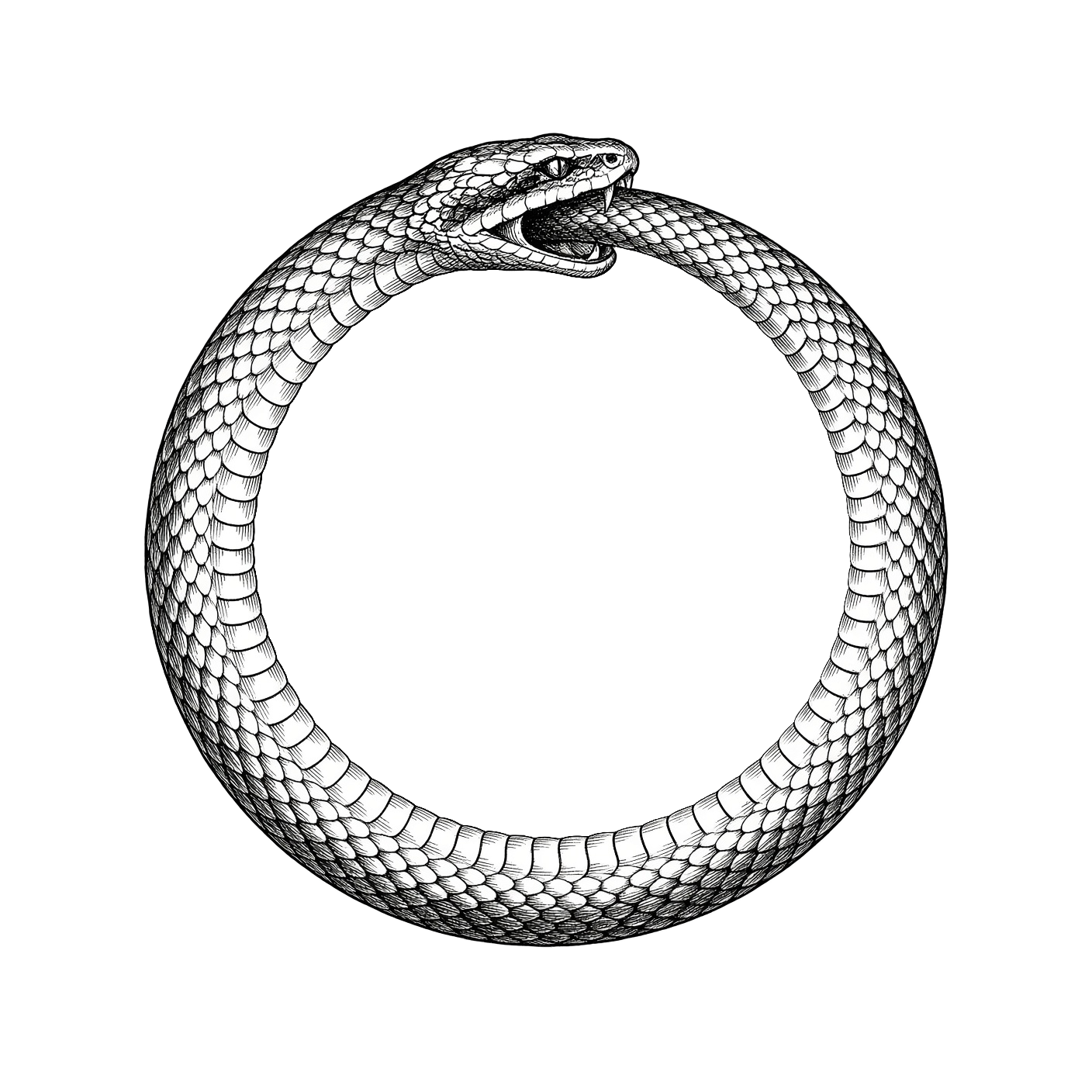 The Ouroborealis Poetry Prize ouroboros, Contest No. 01, The Columbus Review