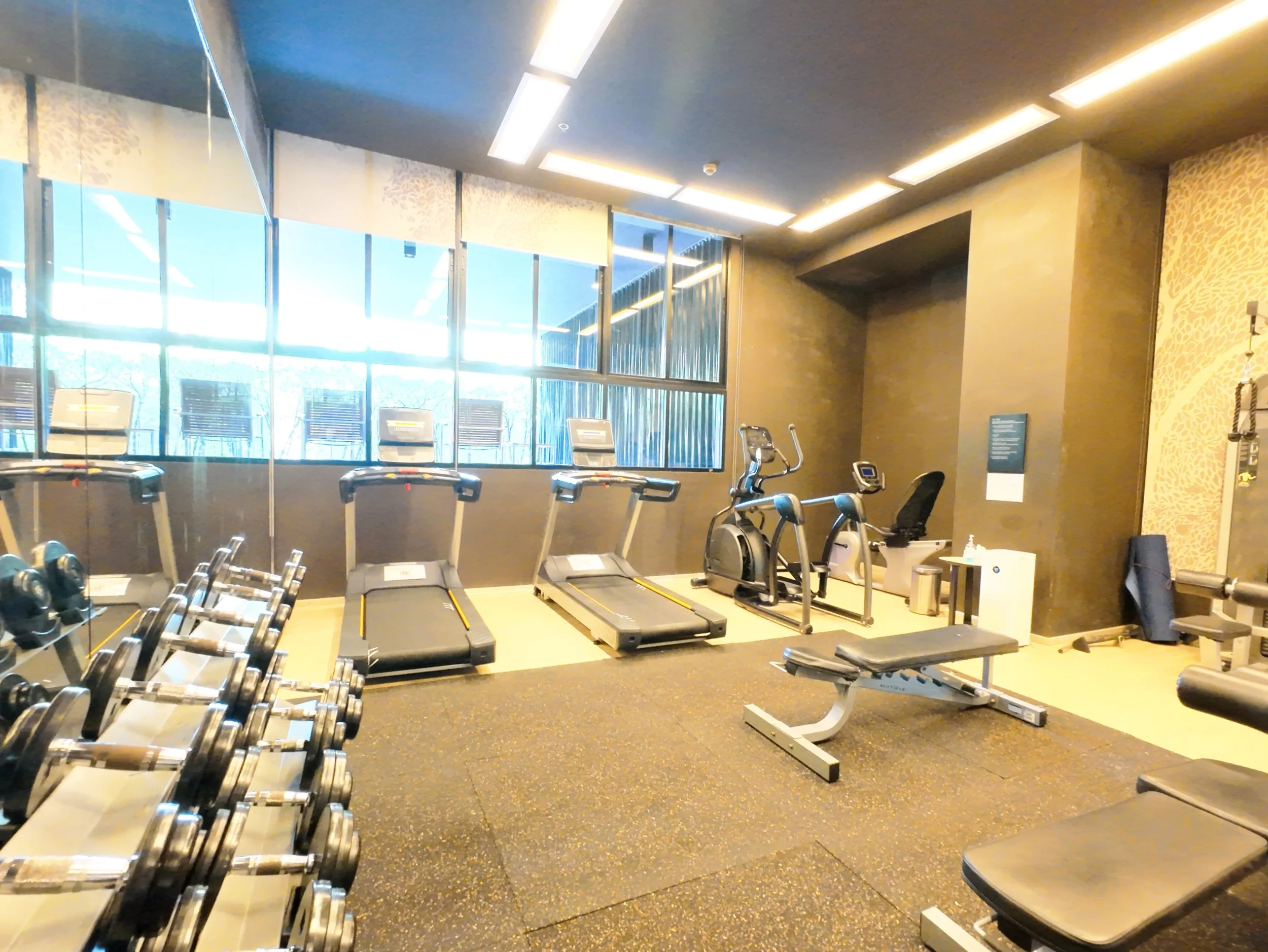 Gym with cardio machines including treadmills, stationary bikes, free weights, an adjustable workout bench, and mirrors, with large windows allowing natural light.