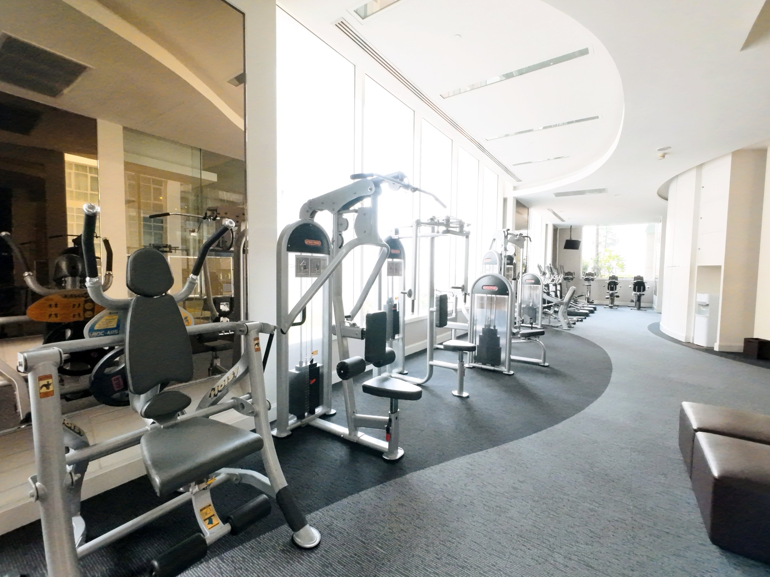 Gym with exercise machines and treadmills near large windows in a modern, well-lit space.
