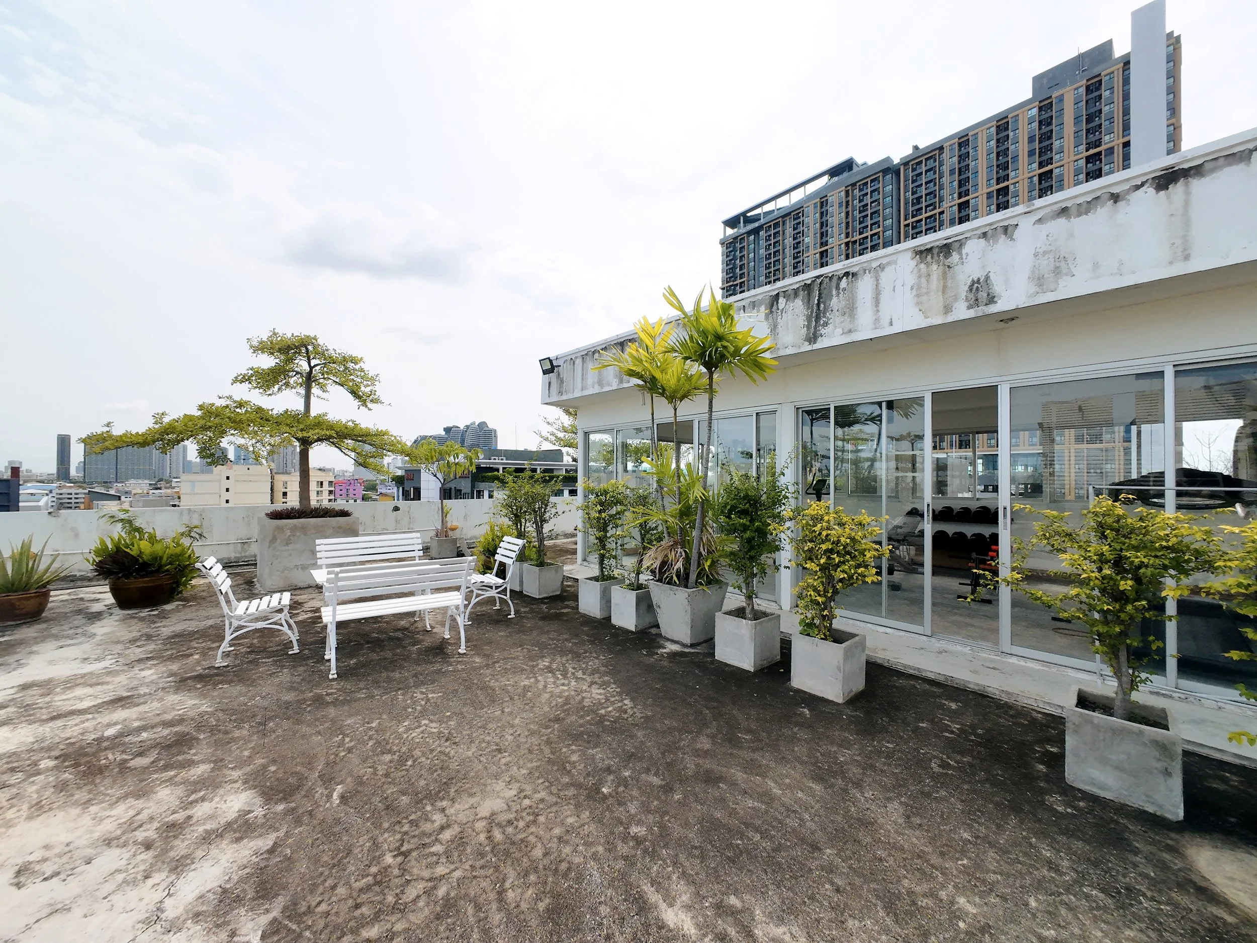 Rooftop terrace with white benches, potted trees, and hedges overlooking a city skyline with tall buildings.