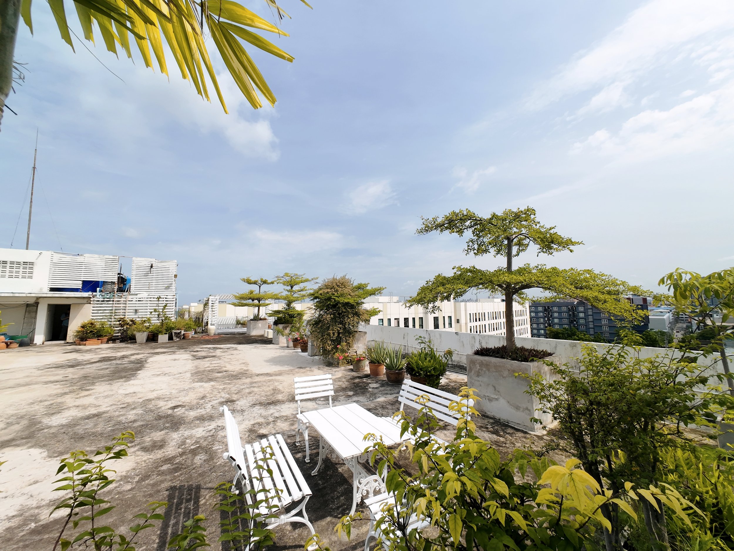 A rooftop garden with white benches and a small table, surrounded by potted plants and trees under a partly cloudy sky.