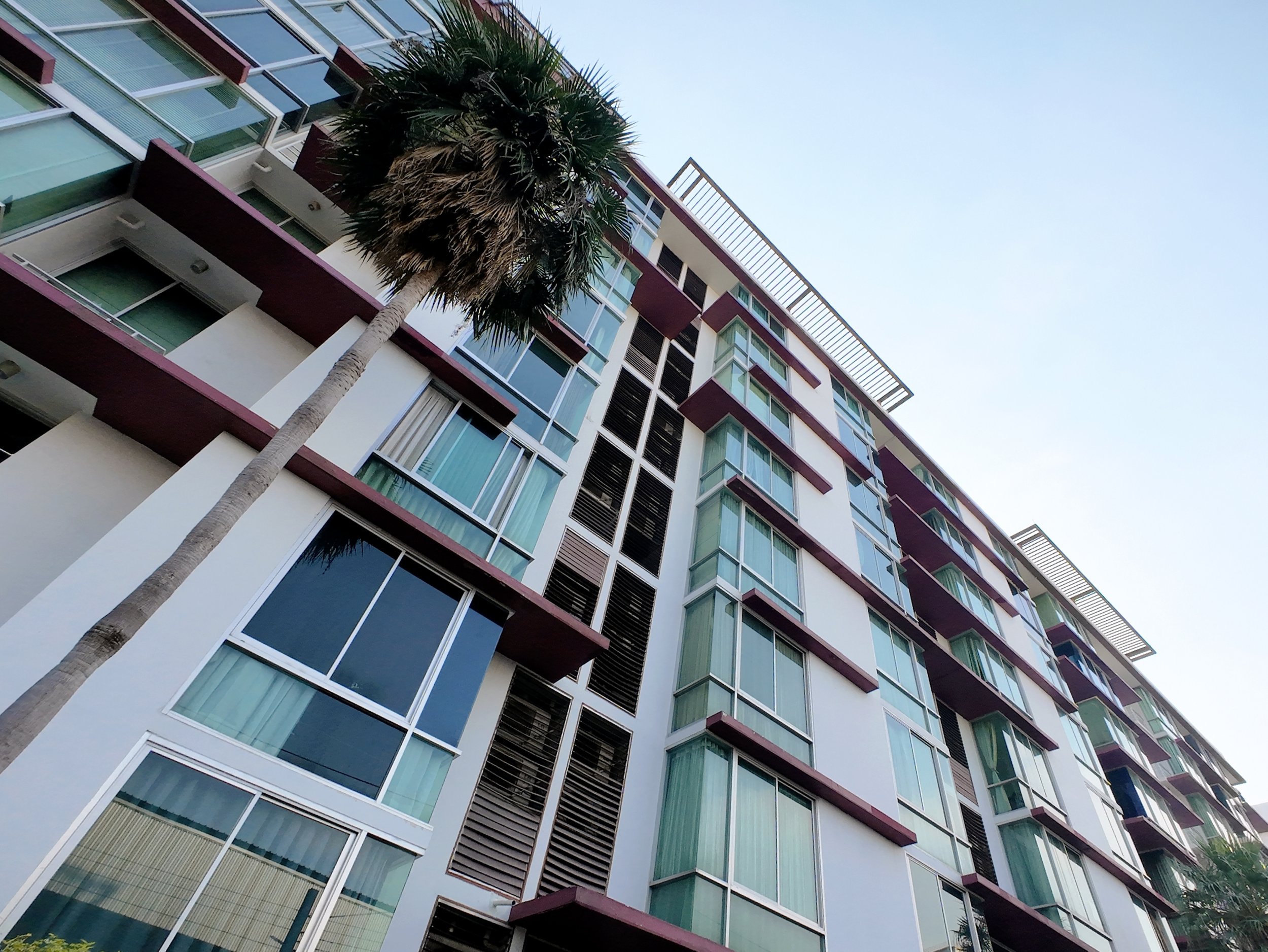 Low-angle view of a modern multi-story apartment building with large glass windows and a tall palm tree in front, against a clear sky.