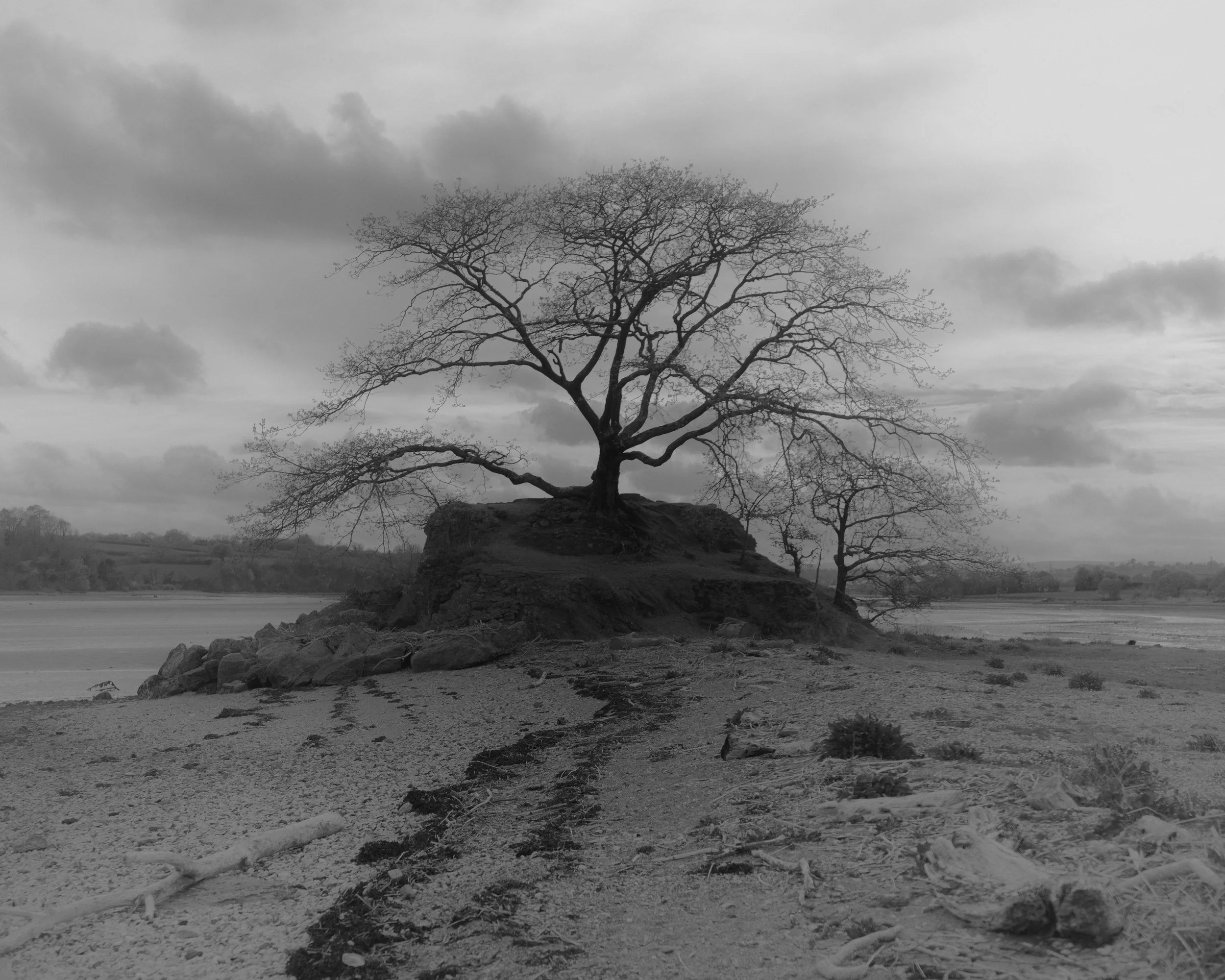 River Teign 09-04 3-1.jpg