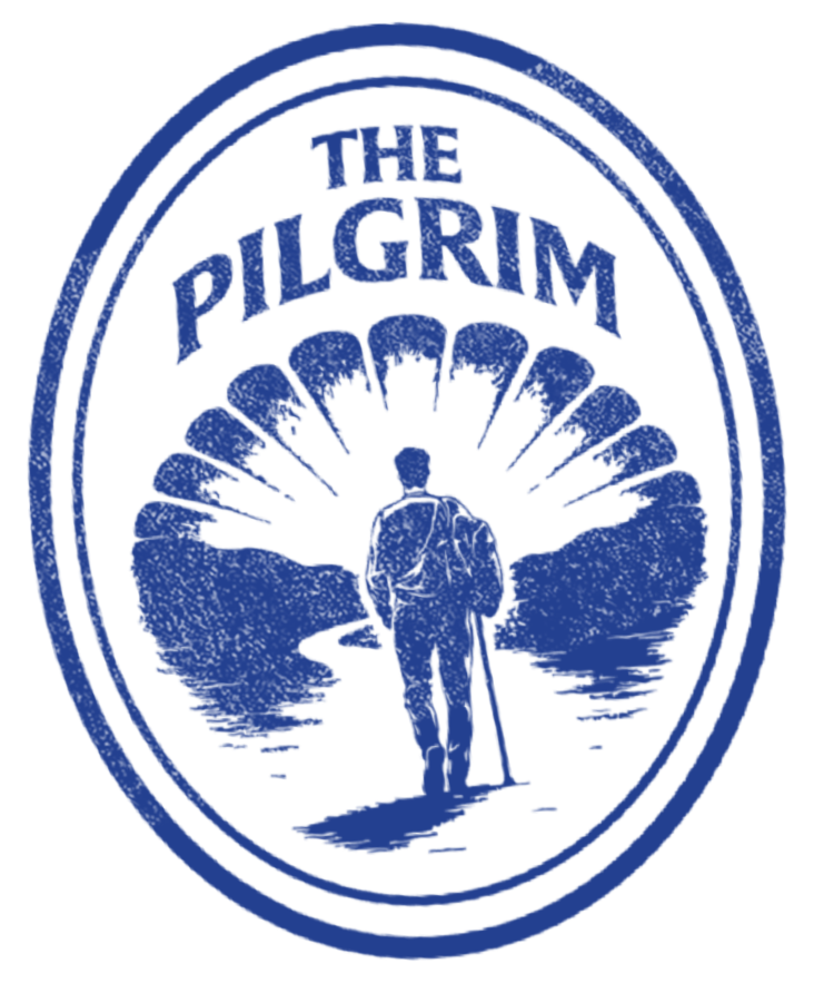 A blue, glittery badge with a central silhouette of a pitcher throwing a baseball, surrounded by the text "THE PITCHER" and larger text "MVP" in a circular design.