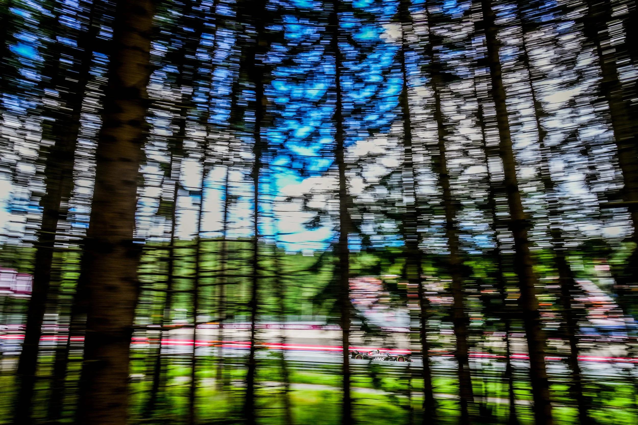 Blurred photo of trees in a park with a cloudy sky, and a racing car passing by in the background.