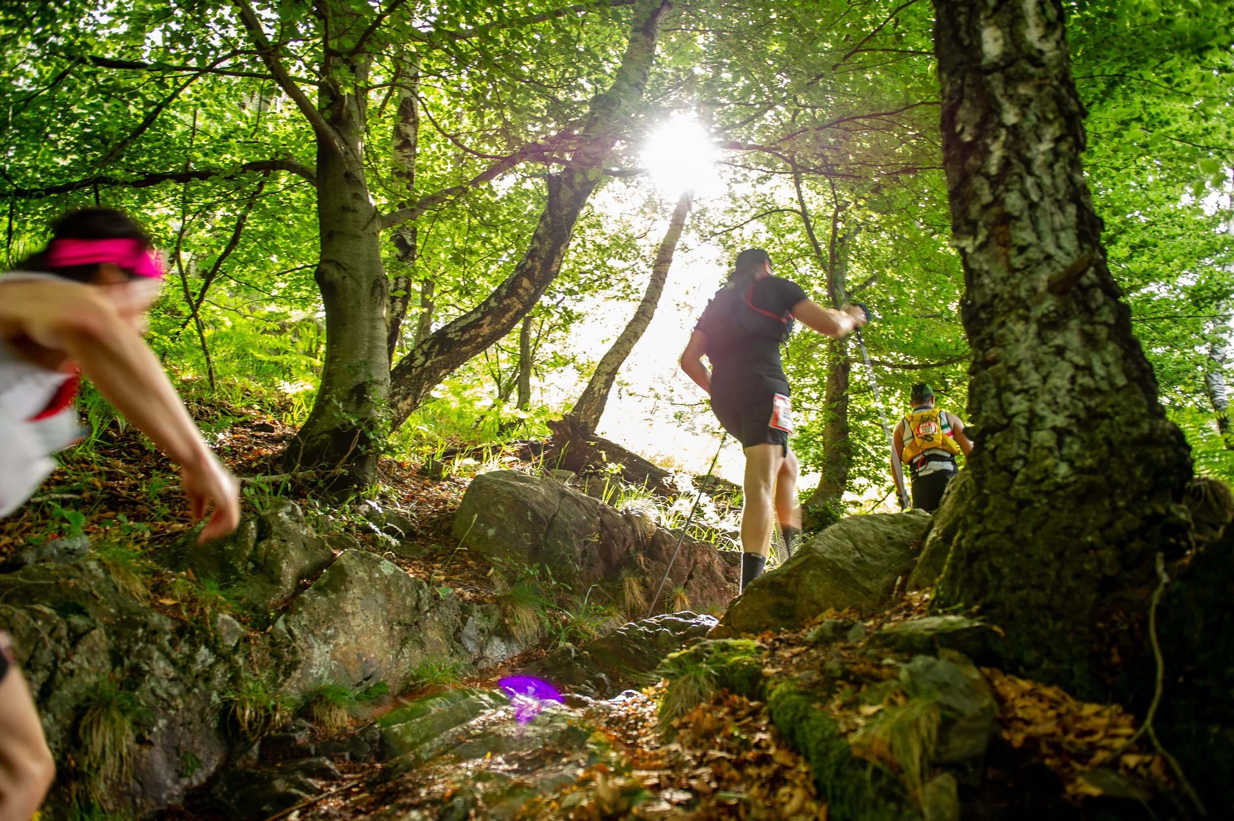 Gruppo di persone che fa trekking in una foresta verde, con il sole che filtra tra gli alberi