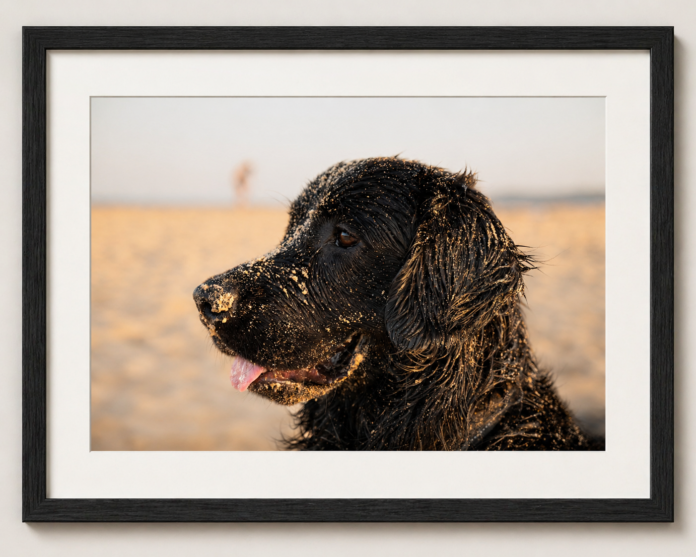 ChatGPT Image Apr 27, 2026, 06_07_27 PM.png