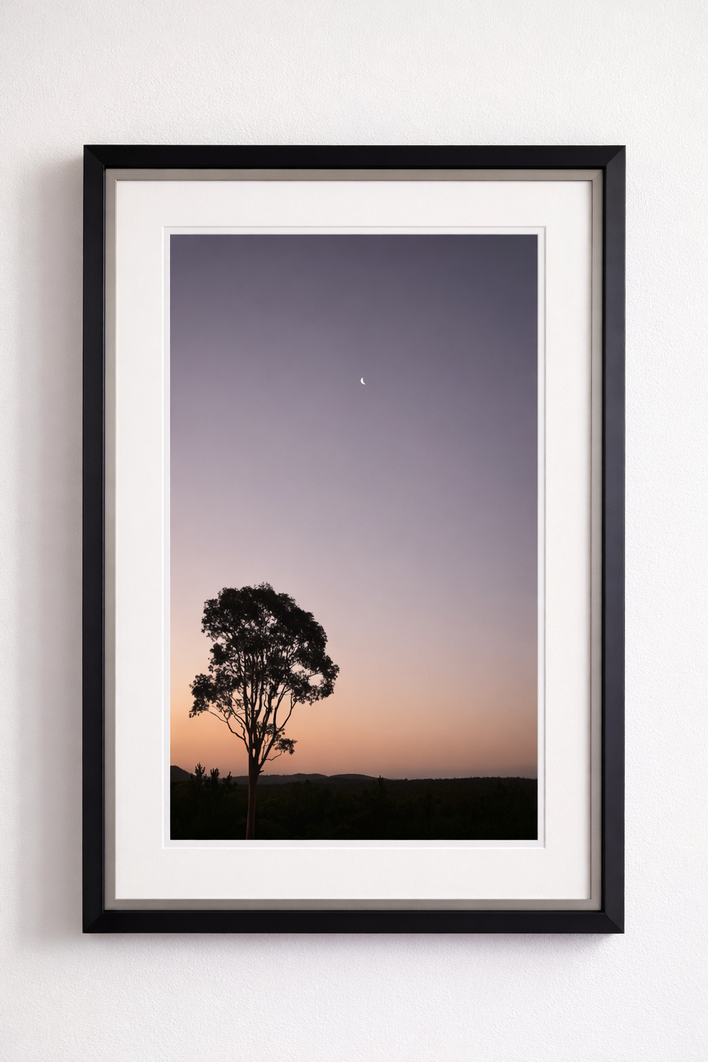 Framed photograph of a silhouette tree against a sunset sky with a crescent moon.