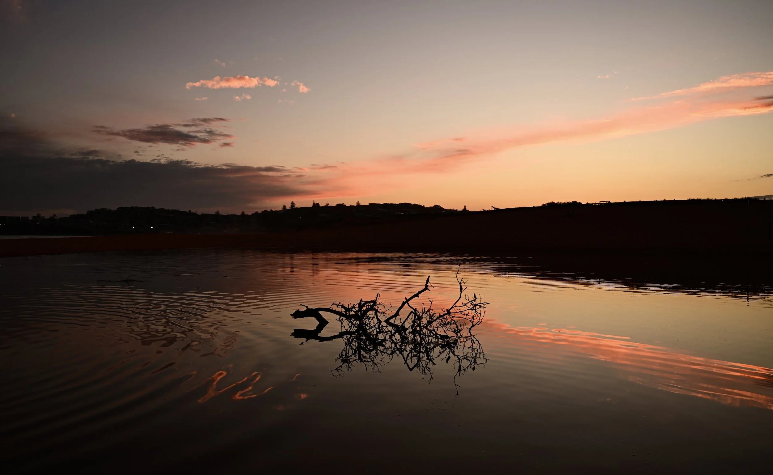 North Curl Curl lagoon at sunset