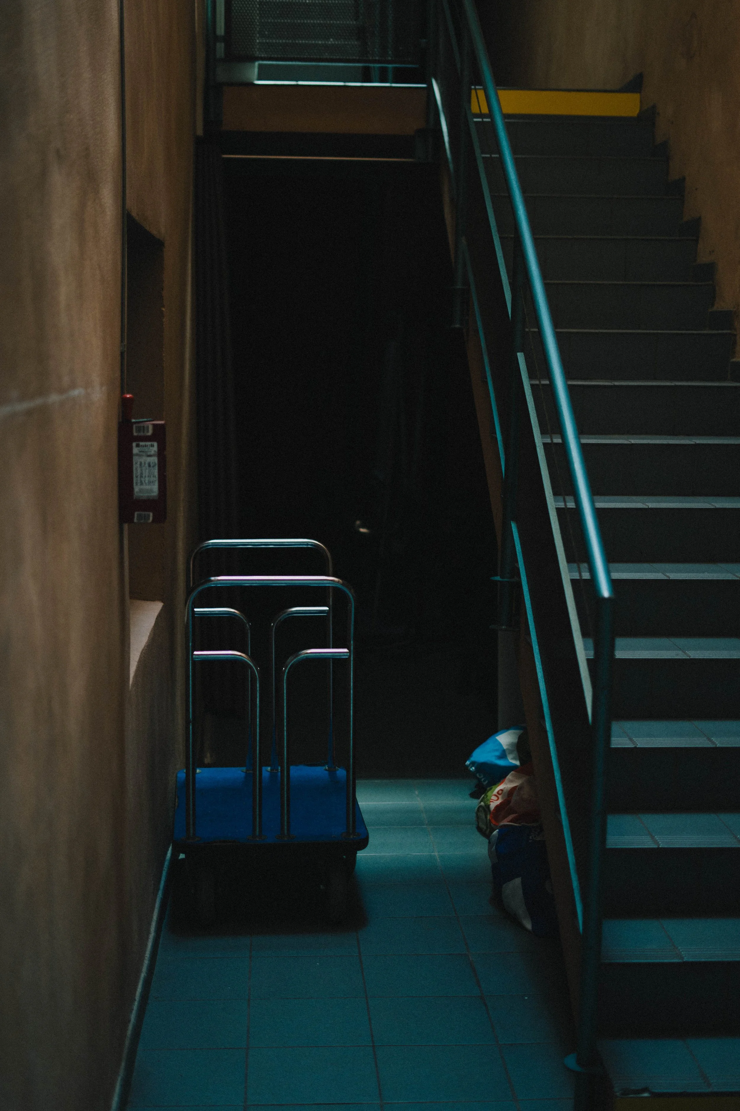 Copy of DSC09097.jpg