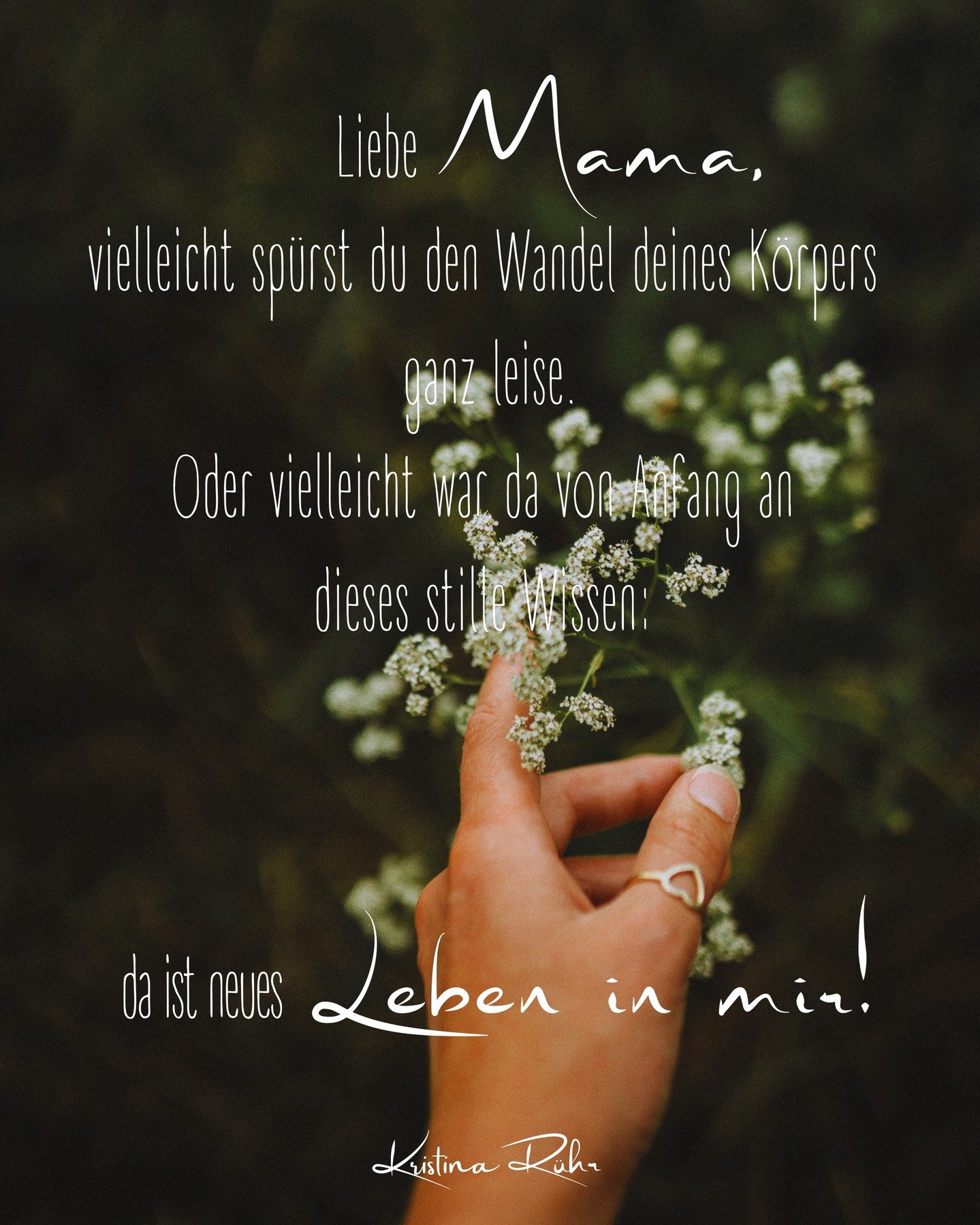 Diese ersten Wochen sind oft unwirklich, zart, fragil.
⠀
Und genau darin liegt ihre Magie.
⠀
Du musst nichts wissen, nichts k&ouml;nnen, nichts &bdquo;richtig machen&ldquo;.
⠀
Du darfst einfach da sein.
⠀
Und wachsen &ndash; gemeinsam mit deinem Baby