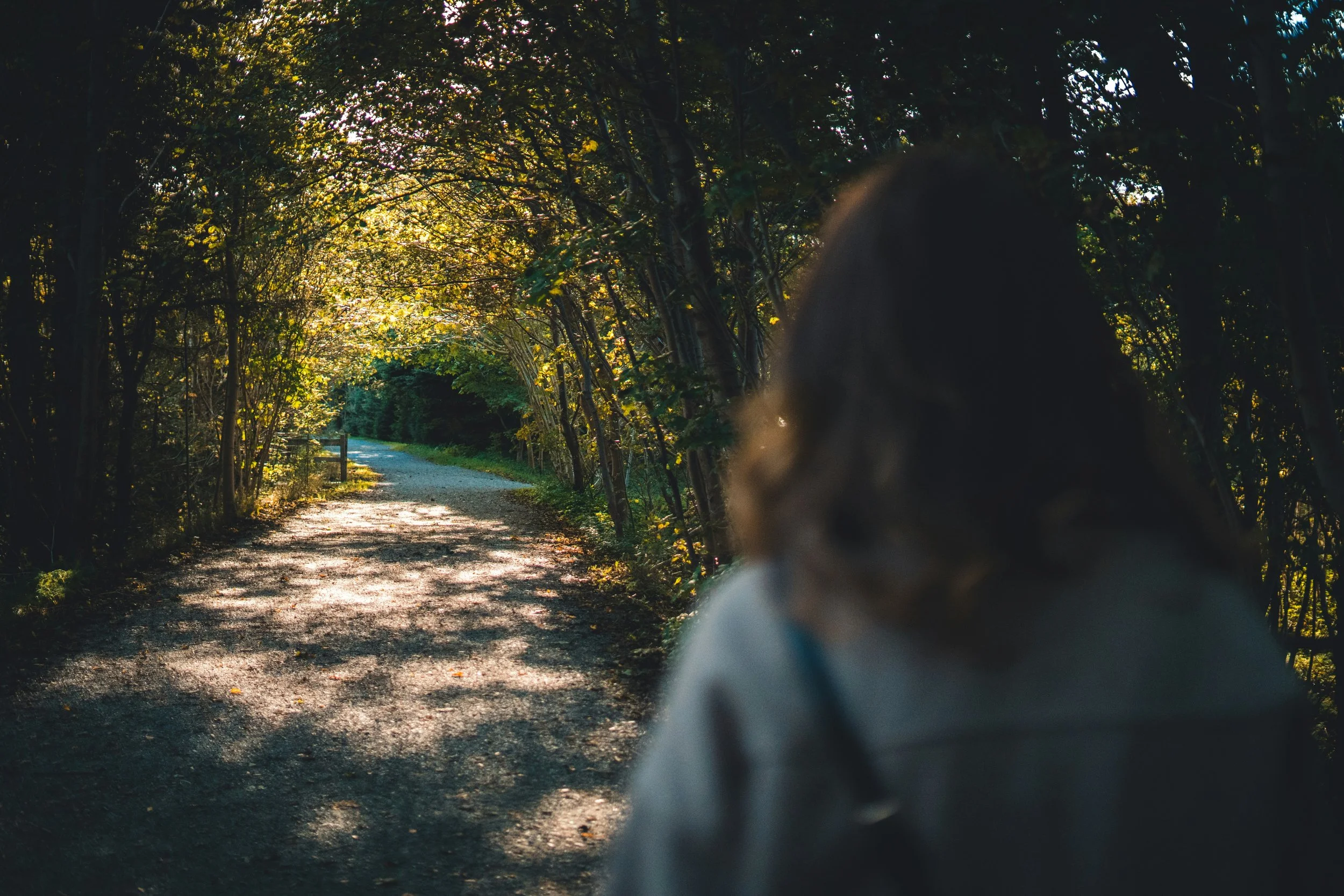 Woman walking along a quiet forest pathway surrounded by trees and natural greenery, viewed from behind, symbolizing reflection, grounding, and emotional clarity.