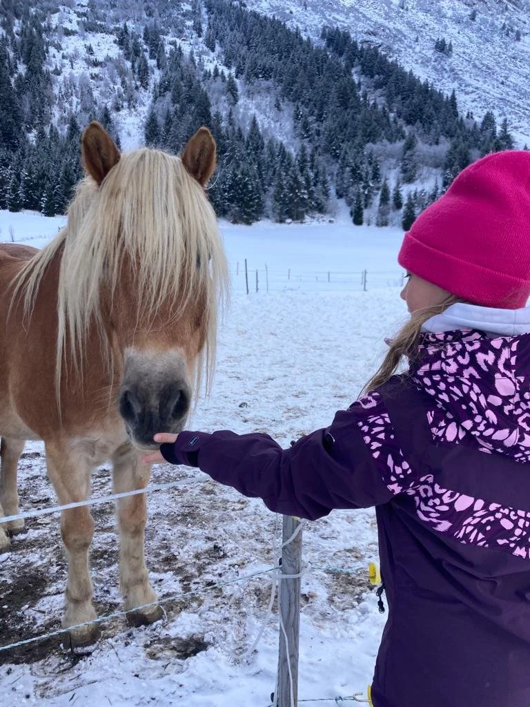 WhatsApp Image 2023-09-10 at 21.55.48.jpeg