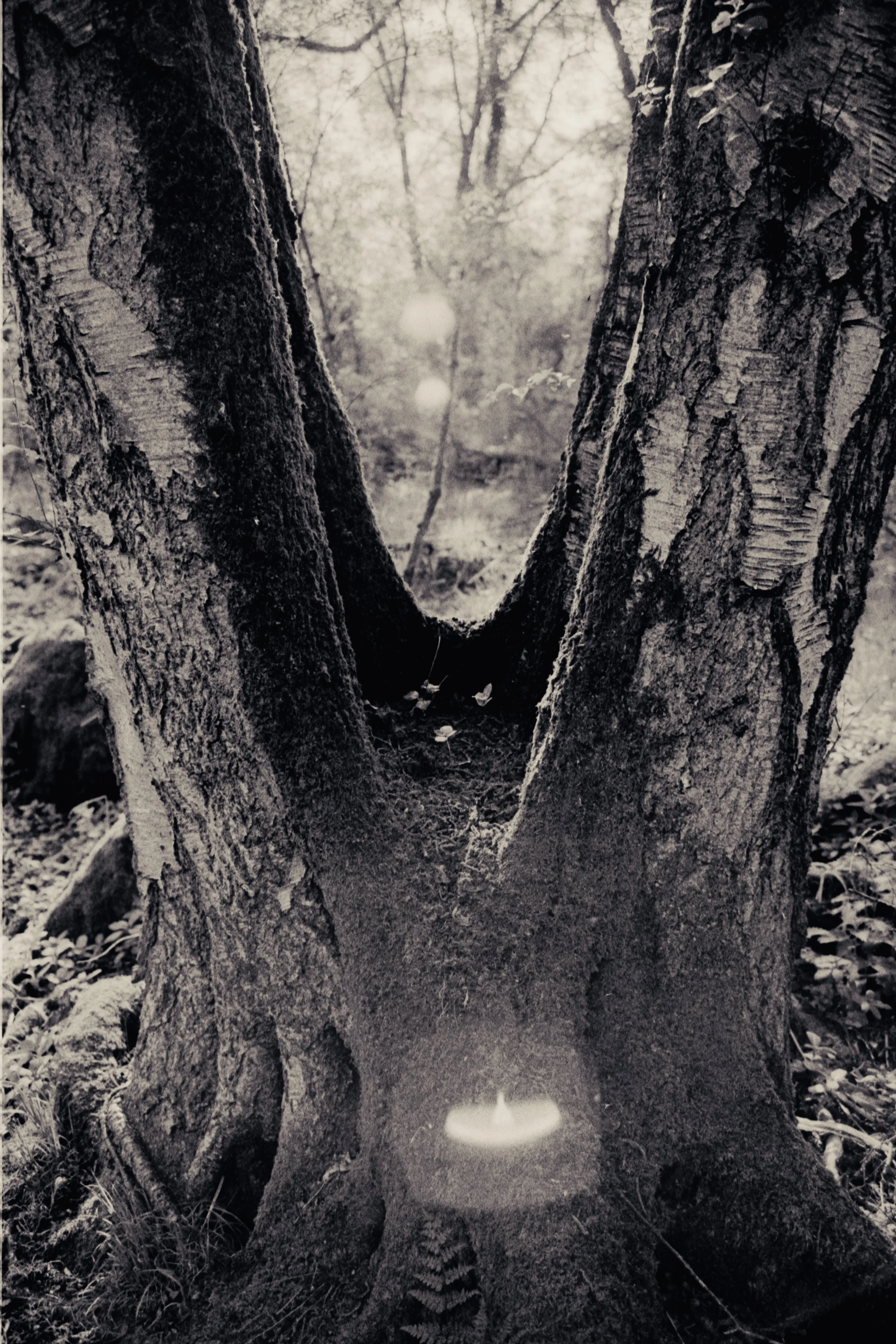 l'Origine du Monde: inspired by Courbet #2