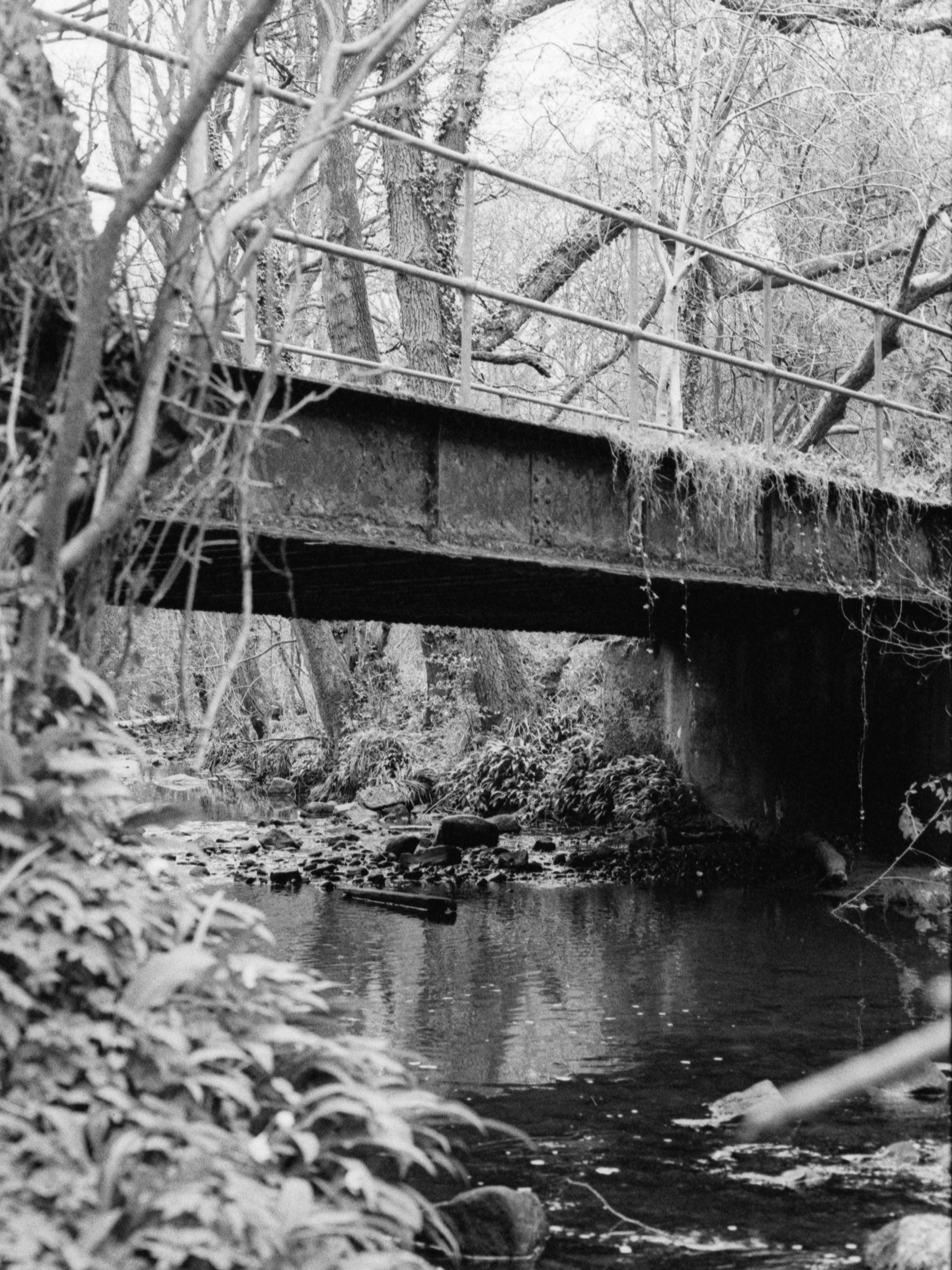 Black and white photo of a bridge over a small stream in a wooded area with trees and bushes.