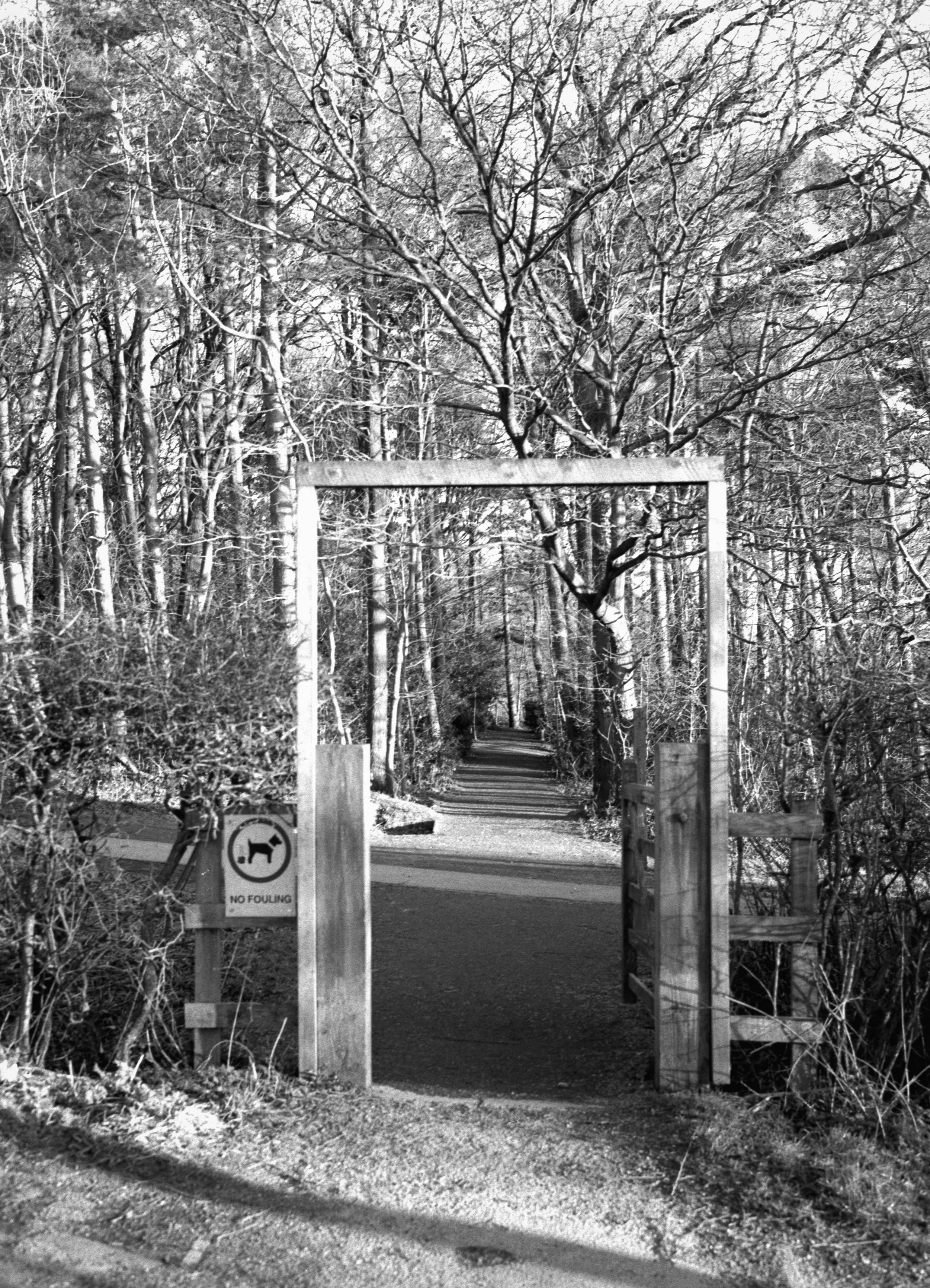 A black and white photograph of a trail through a wooded area, viewed through a wooden and metal gate with a sign indicating no fowling, and surrounded by leafless trees.