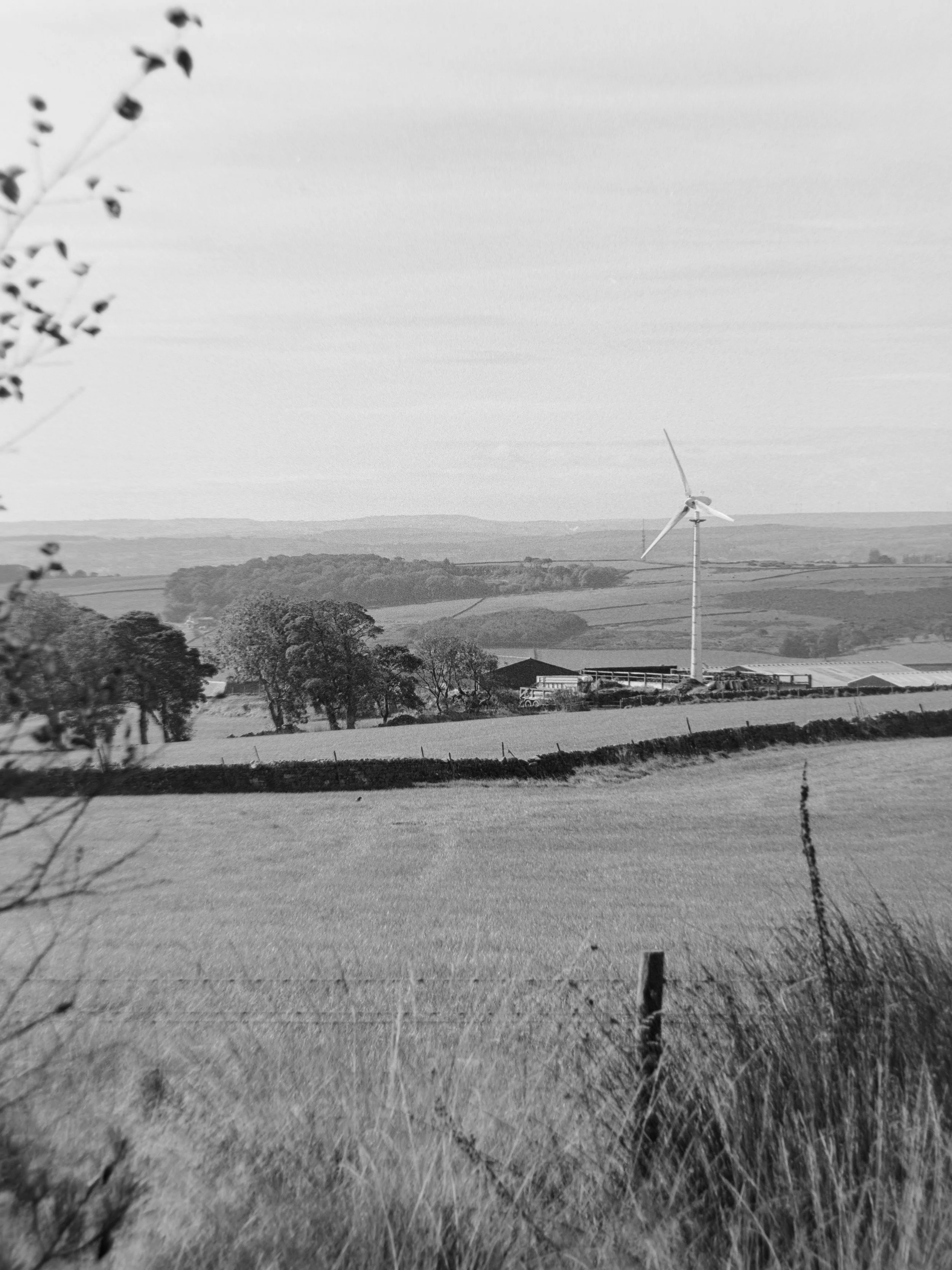 A black and white photo of a rural landscape with fields, trees, and a wind turbine.