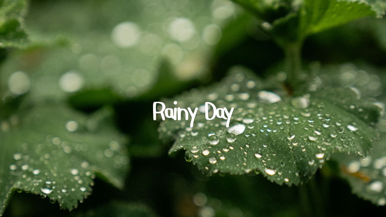 Rainy Day (Non-scripted Short Film)
: A boring rainy day at my house.