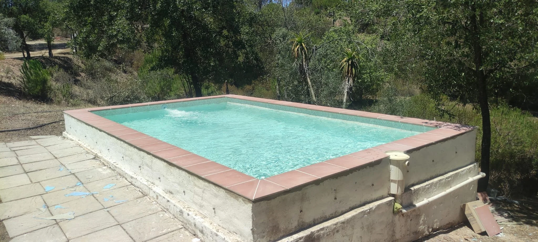 WhatsApp Image 2026-02-05 at 21.53.51.jpeg