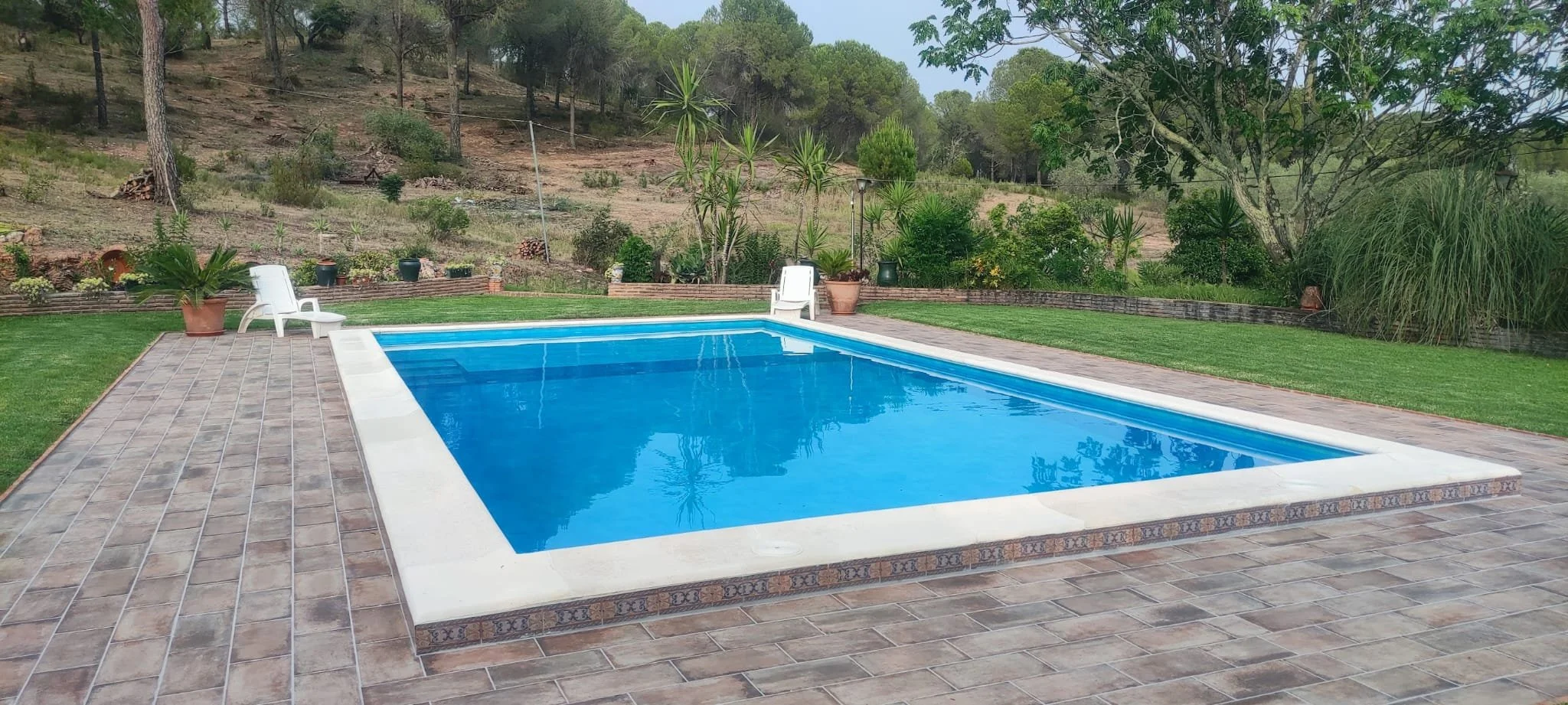 WhatsApp Image 2026-02-05 at 21.52.44.jpeg