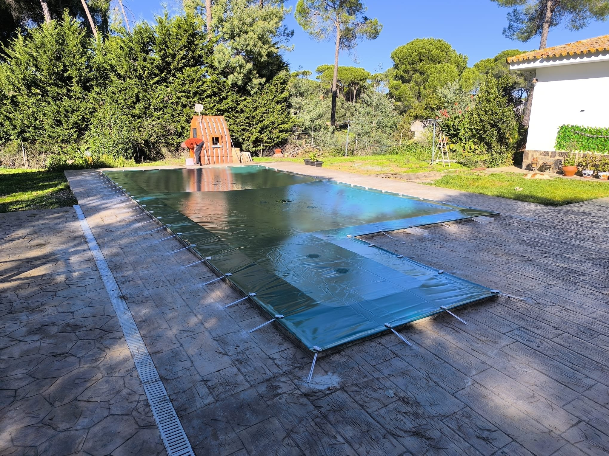 WhatsApp Image 2026-01-31 at 22.51.14.jpeg