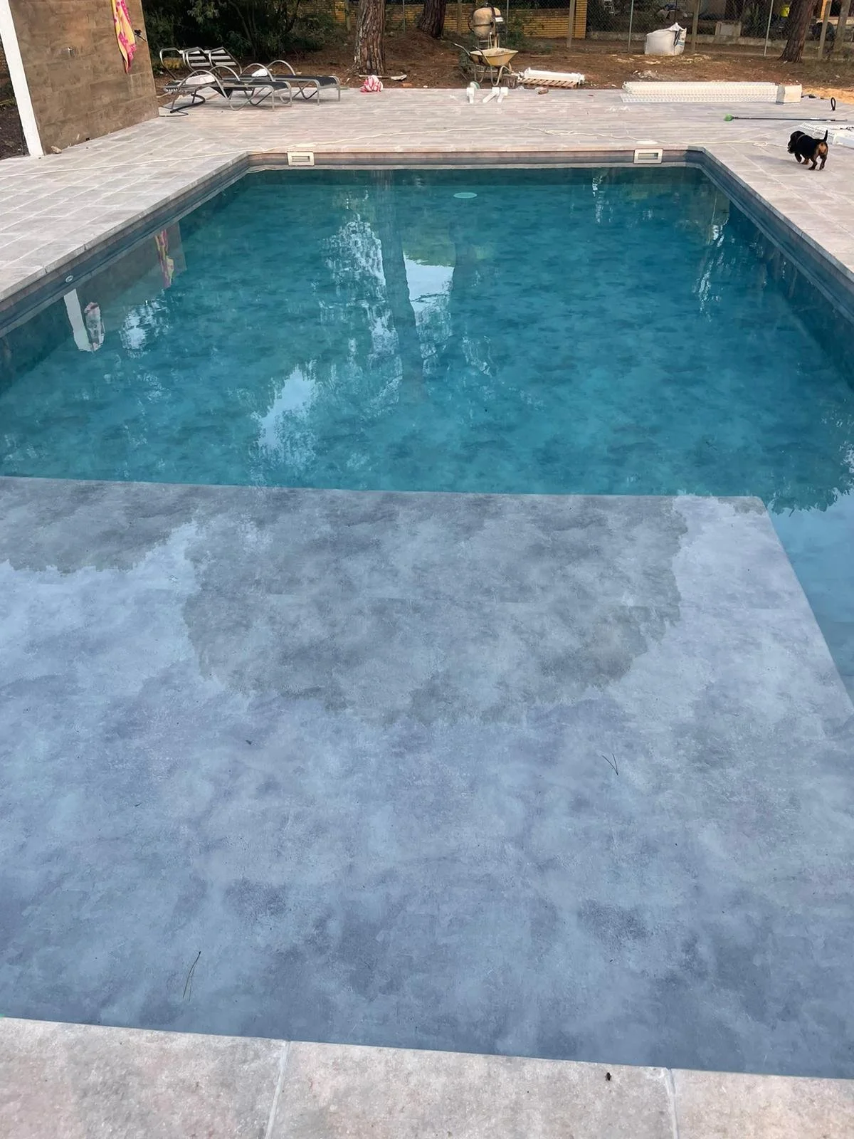 WhatsApp Image 2026-01-31 at 22.47.50.jpeg