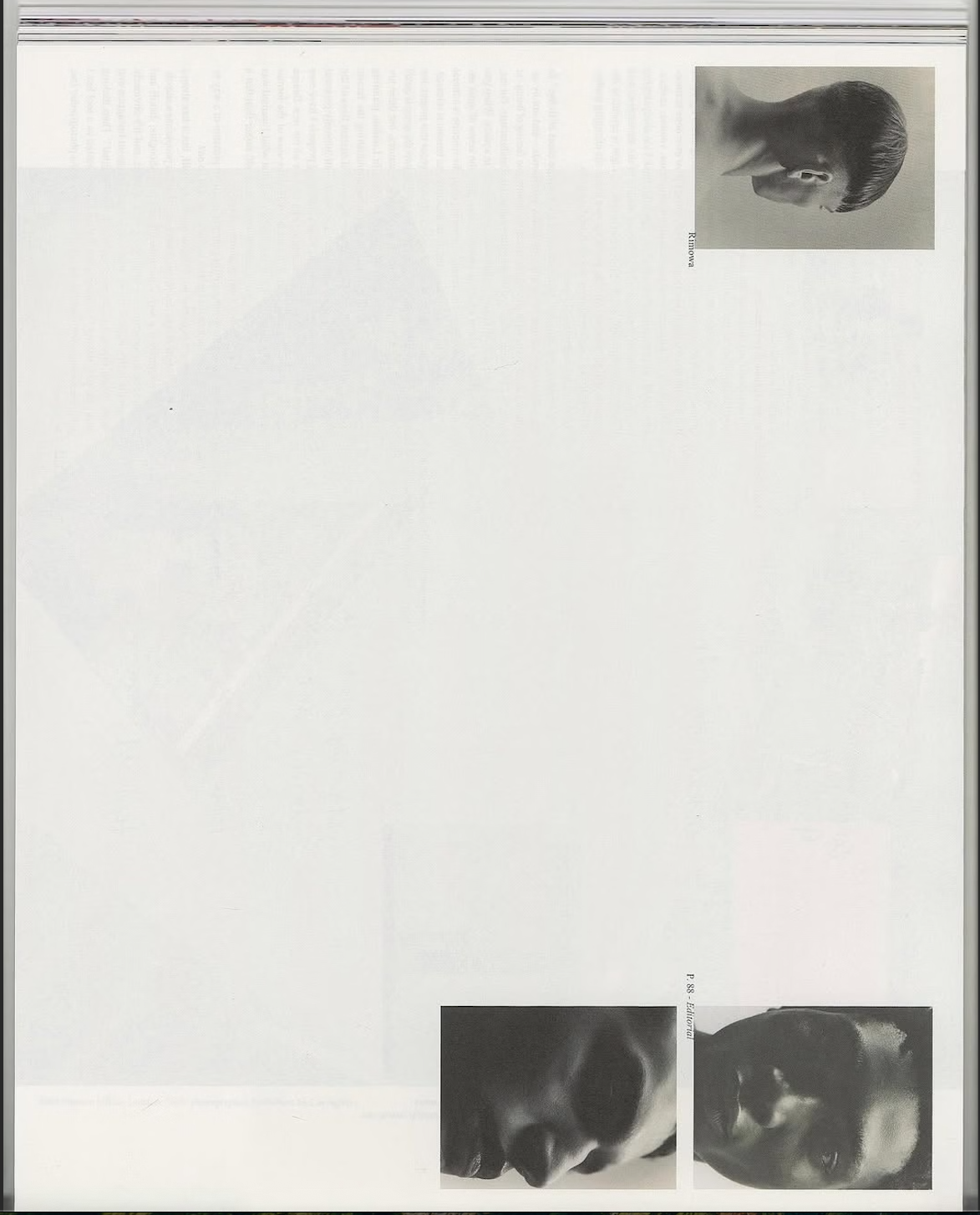 Trademarks Are Dead: Why Culture-Driven Brands Are the New Monopoly