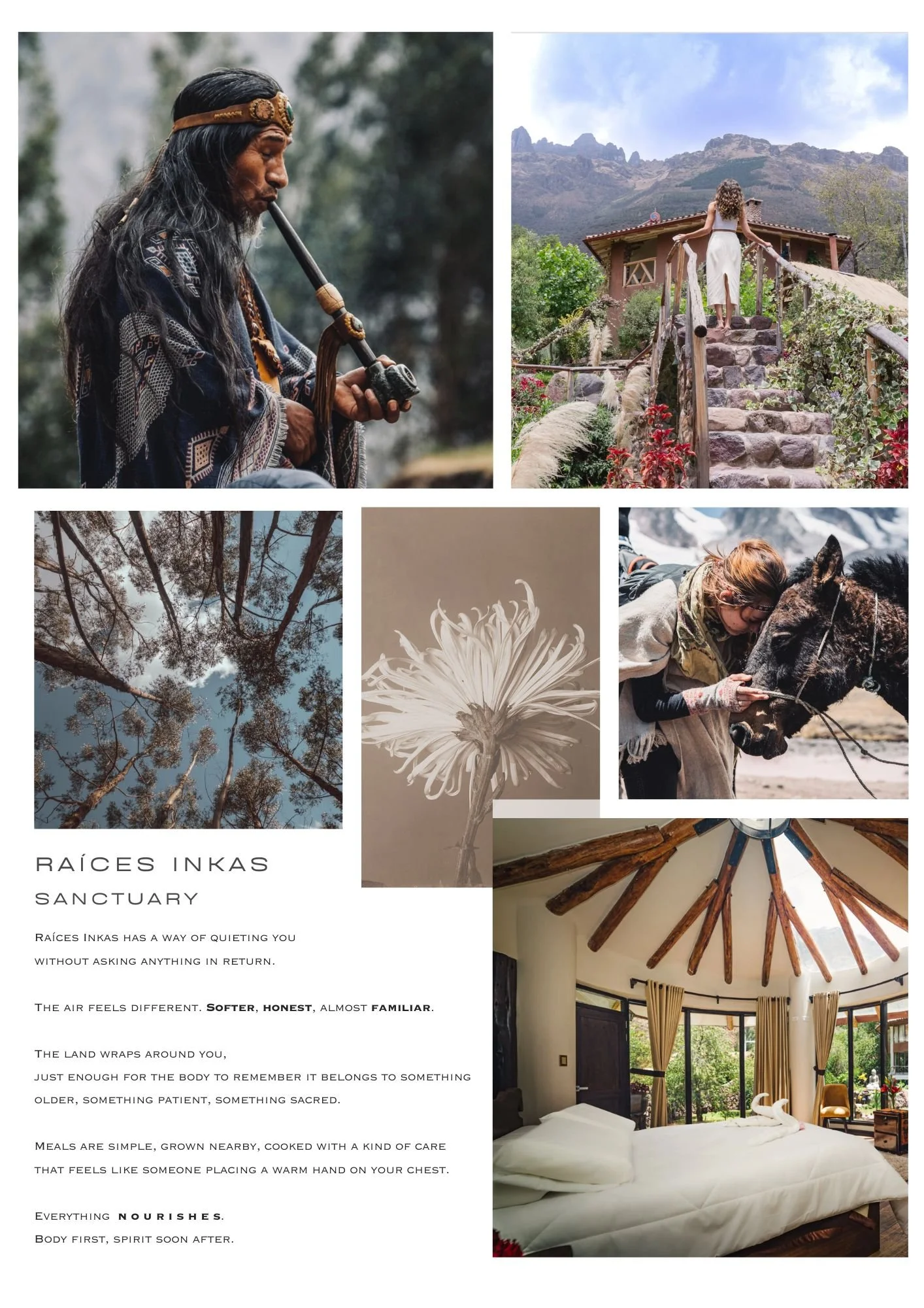 A collage of images featuring nature, a woman in a white dress on a stone staircase, a person playing a flute worn with traditional clothing, trees looking up at the sky, a flower, a woman with a horse, and an interior of a rustic bedroom with a bed 