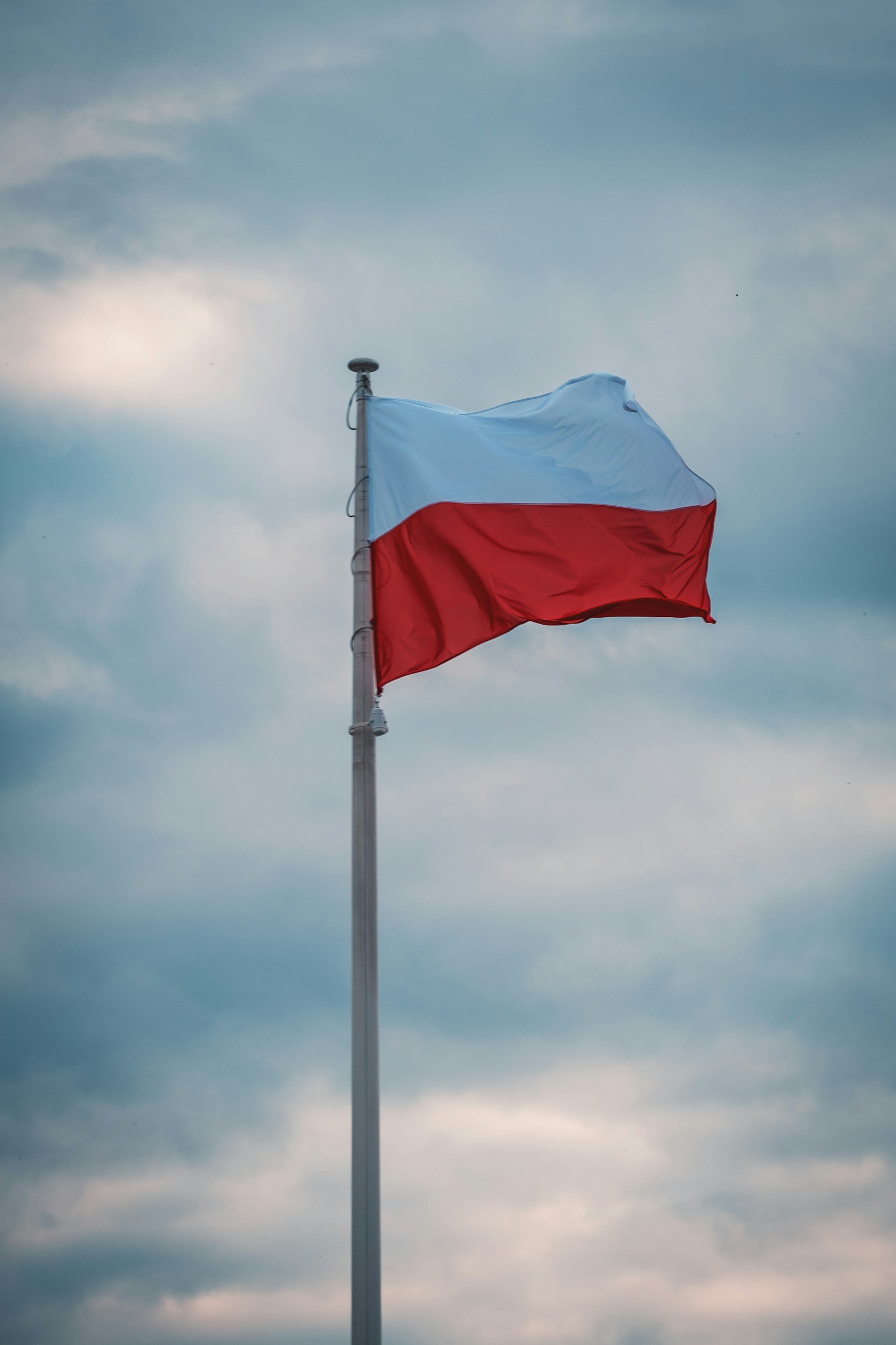 Image of a flagpole with the national flag of France waving against a cloudy sky.