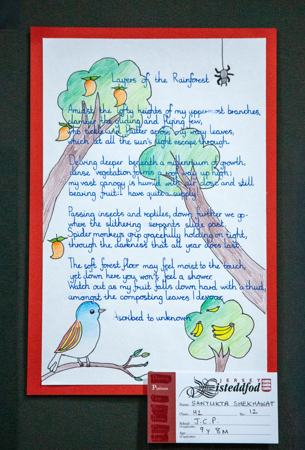 Handwriting & Calligraphy 1.png