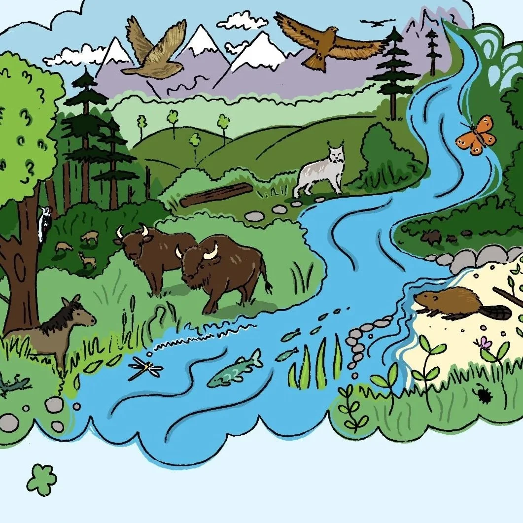 World Rewilding Day - European Young Rewilders