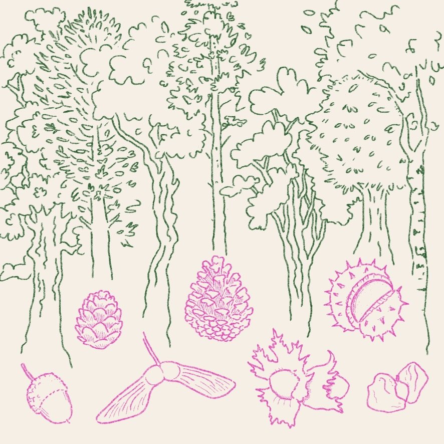 Castle Howard Planting Day - Youngwilders Events Poster