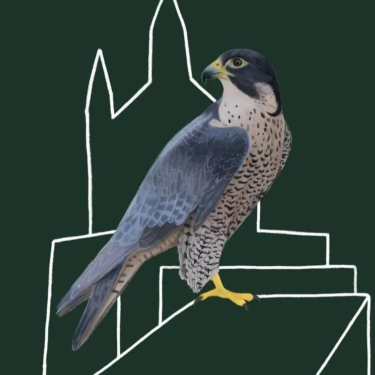 Campaign Stickers - UK Youth For Nature
