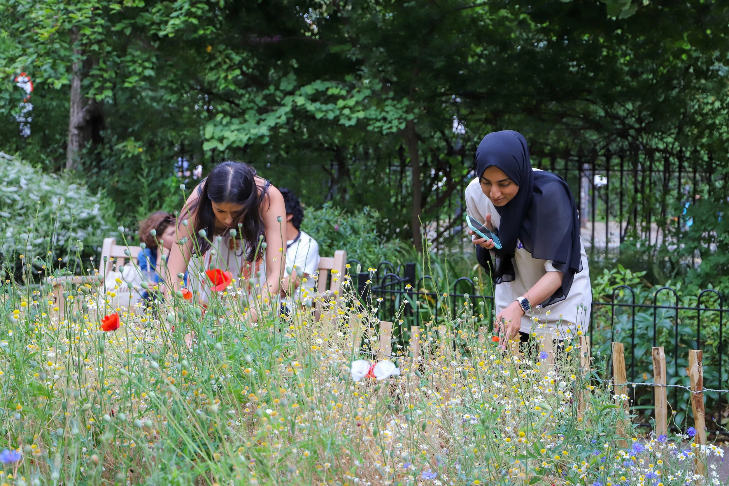 meadowmixer-16 (1).jpg