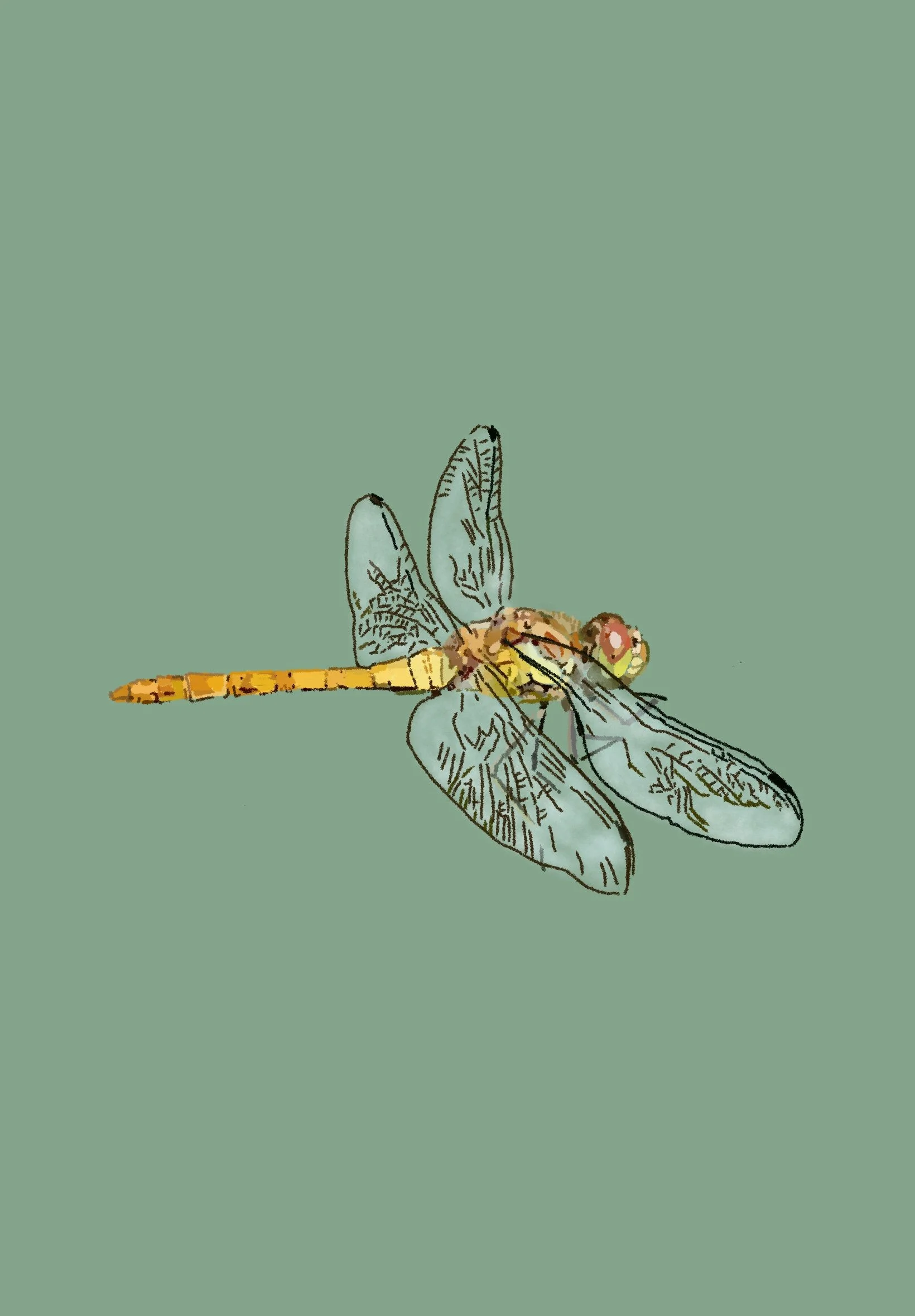 A5 Dragonfly Illustration Print - Recycled Paper