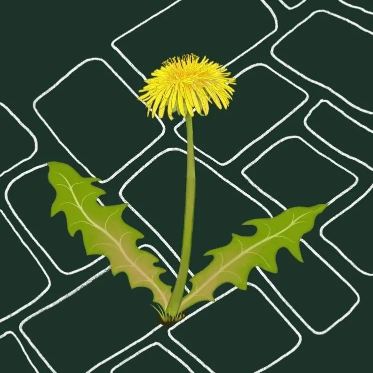 Campaign Stickers - UK Youth For Nature