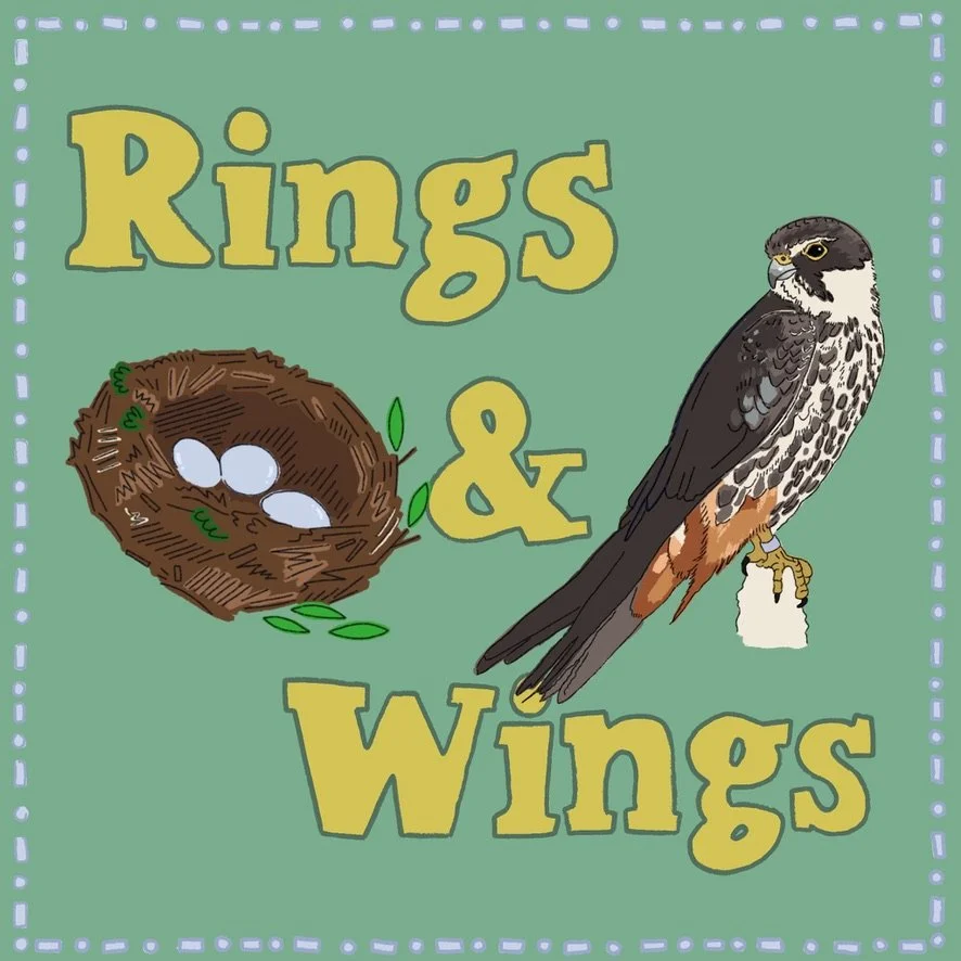 Podcast Cover Art - British Trust for Ornithology