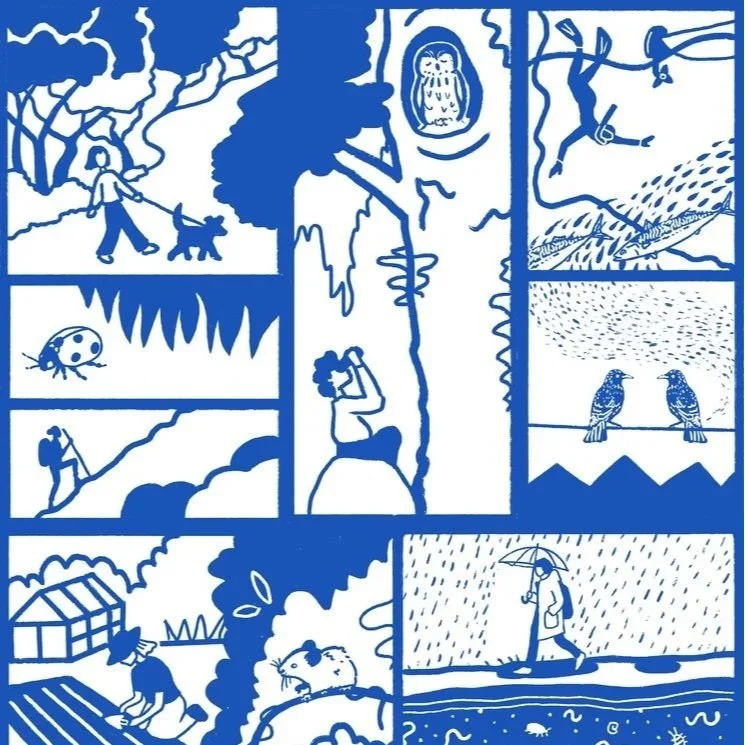 Nature Connection - Wildlife Trust Design Brief