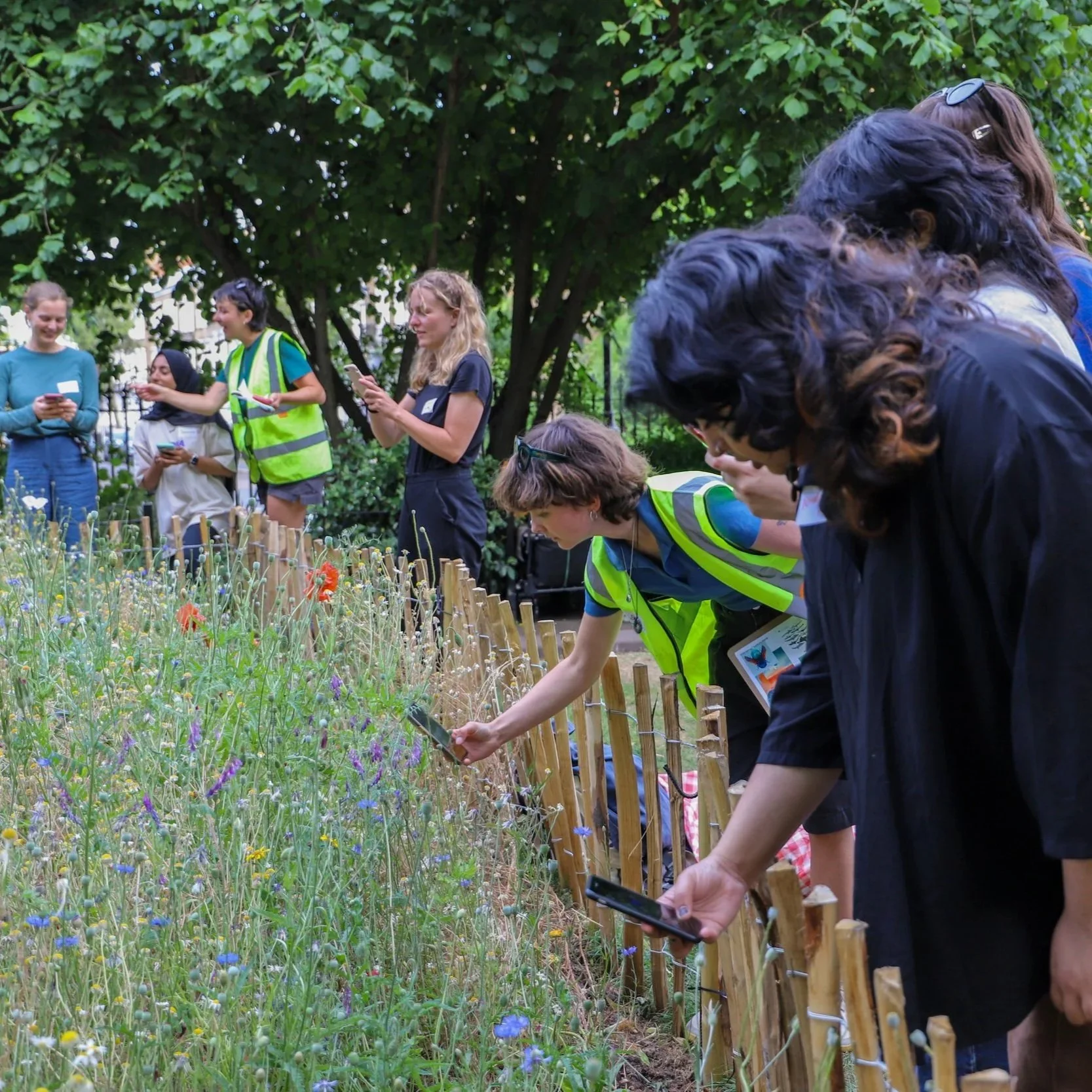 Youngwilders & Sustainably Muslim- Meadow Drawing Workshop