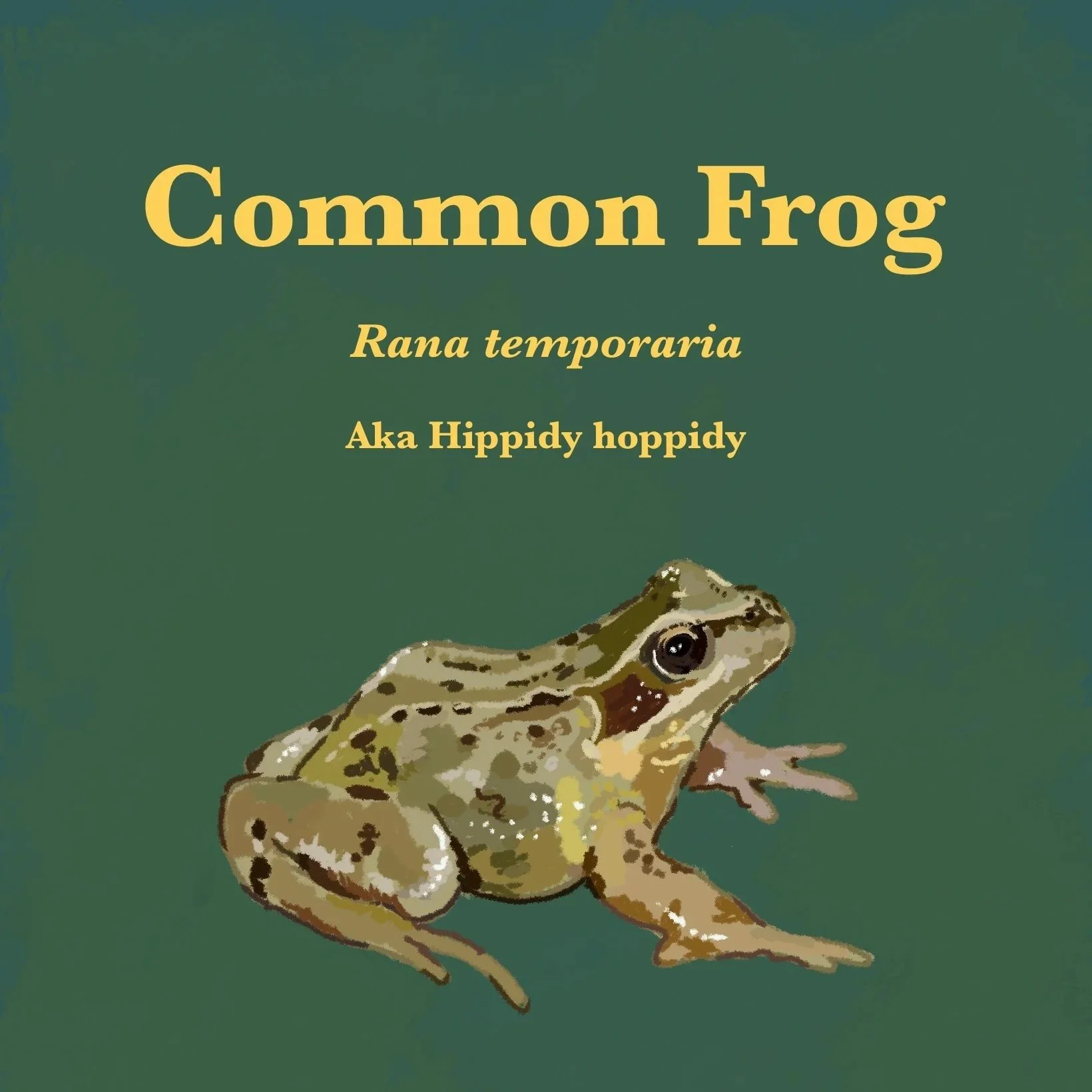 Common Frog