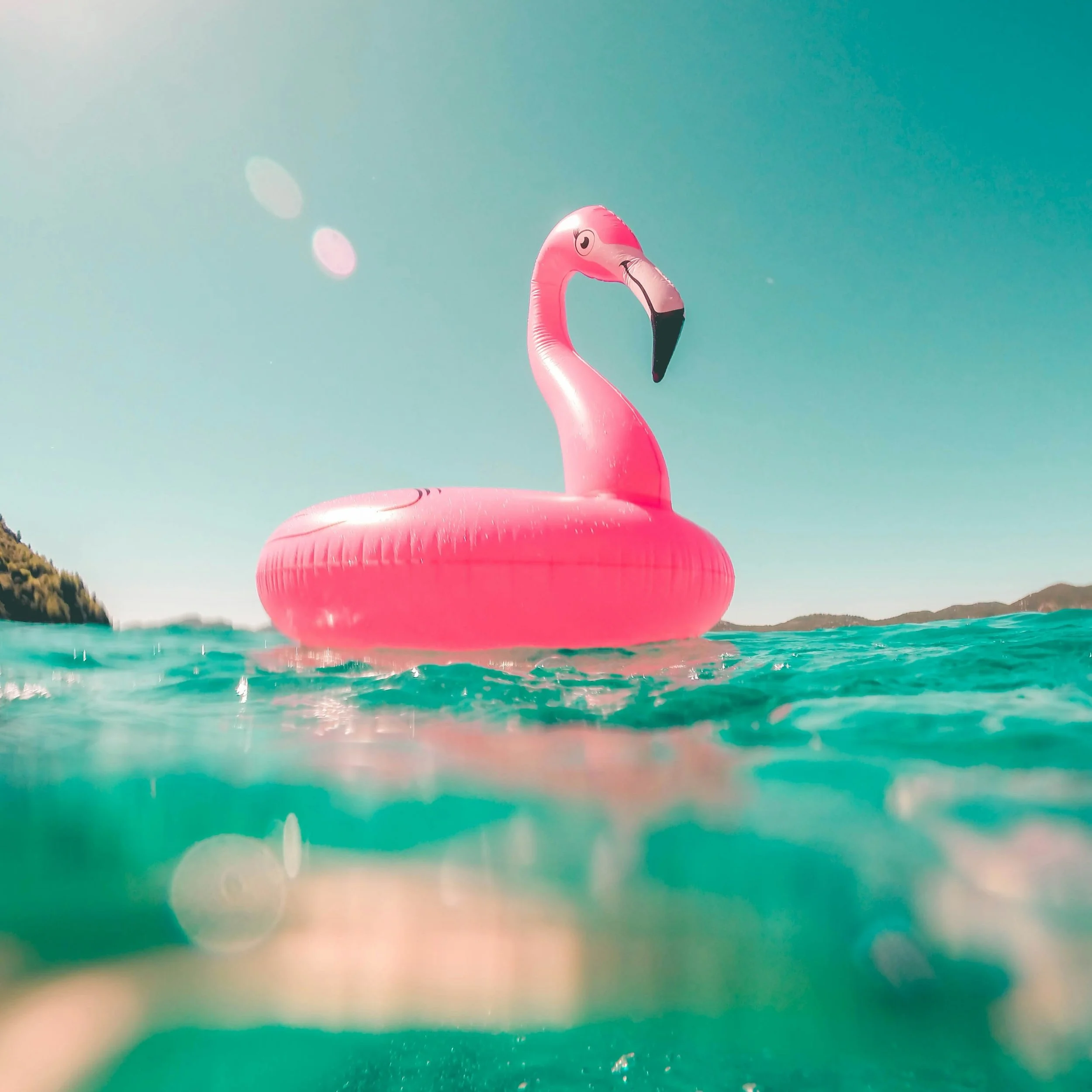 Le week-end est arriv&eacute;, l&rsquo;excuse parfaite pour flotter un peu, respirer beaucoup et laisser le reste au... mardi !

#weekend #weekendparis #parisjetaime #pausebienetre #massageparis #hammamparis #spaParis #detente #bienetre #flamantrose 