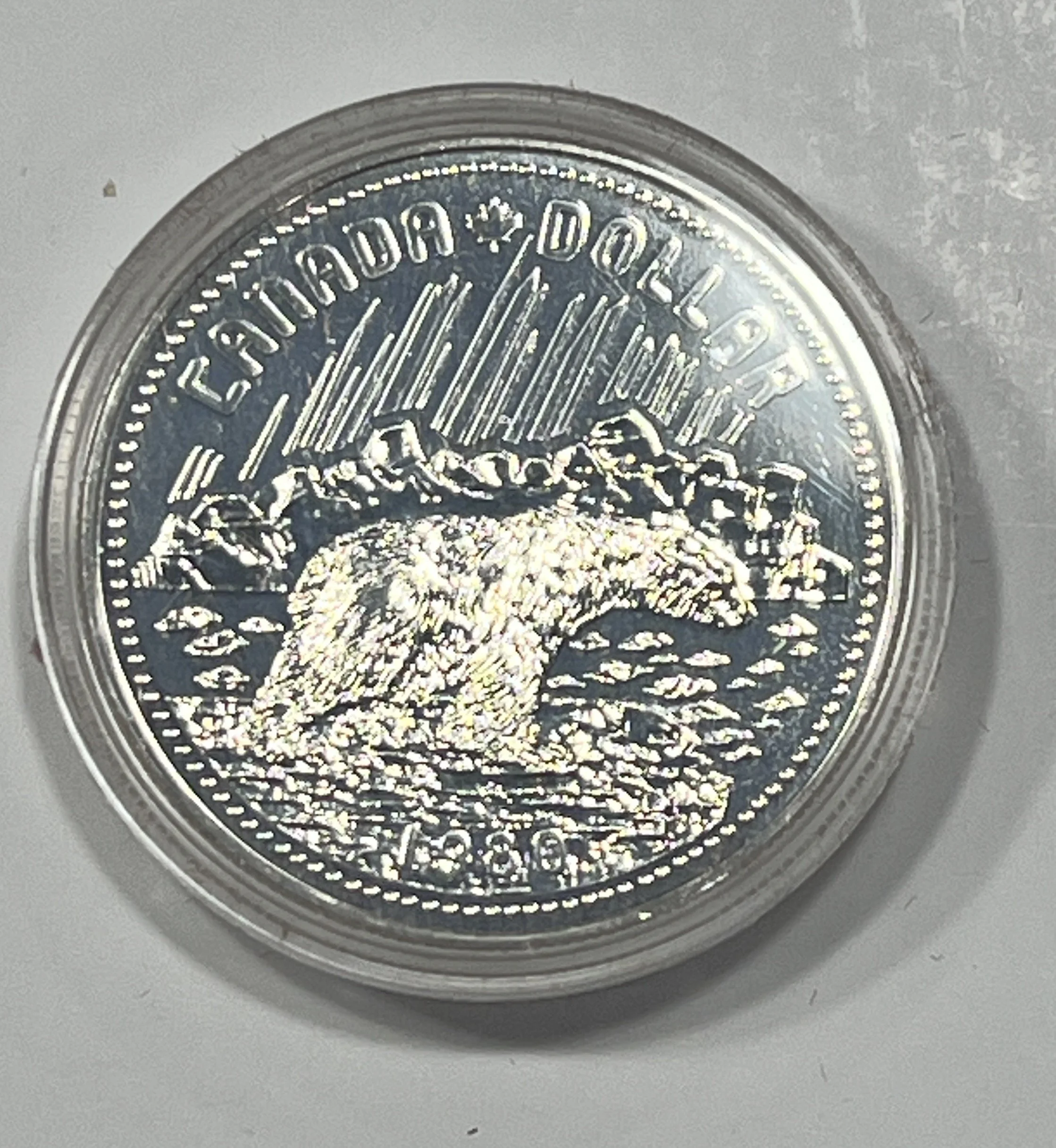 $1 1980 COIN CANADA QUEEN ELIZABETH II POLAR BEAR MINT
