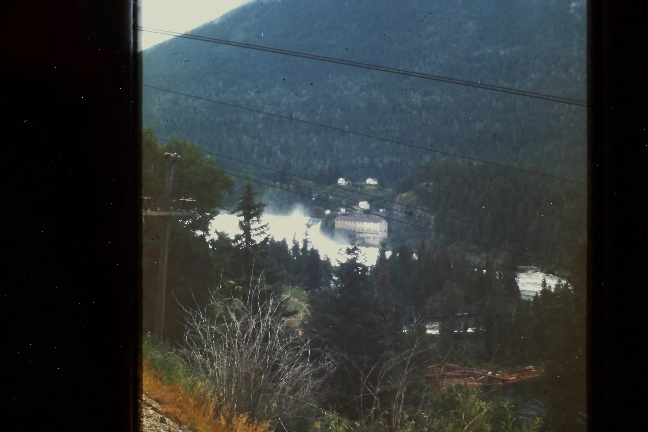 IMAG0004.JPG
