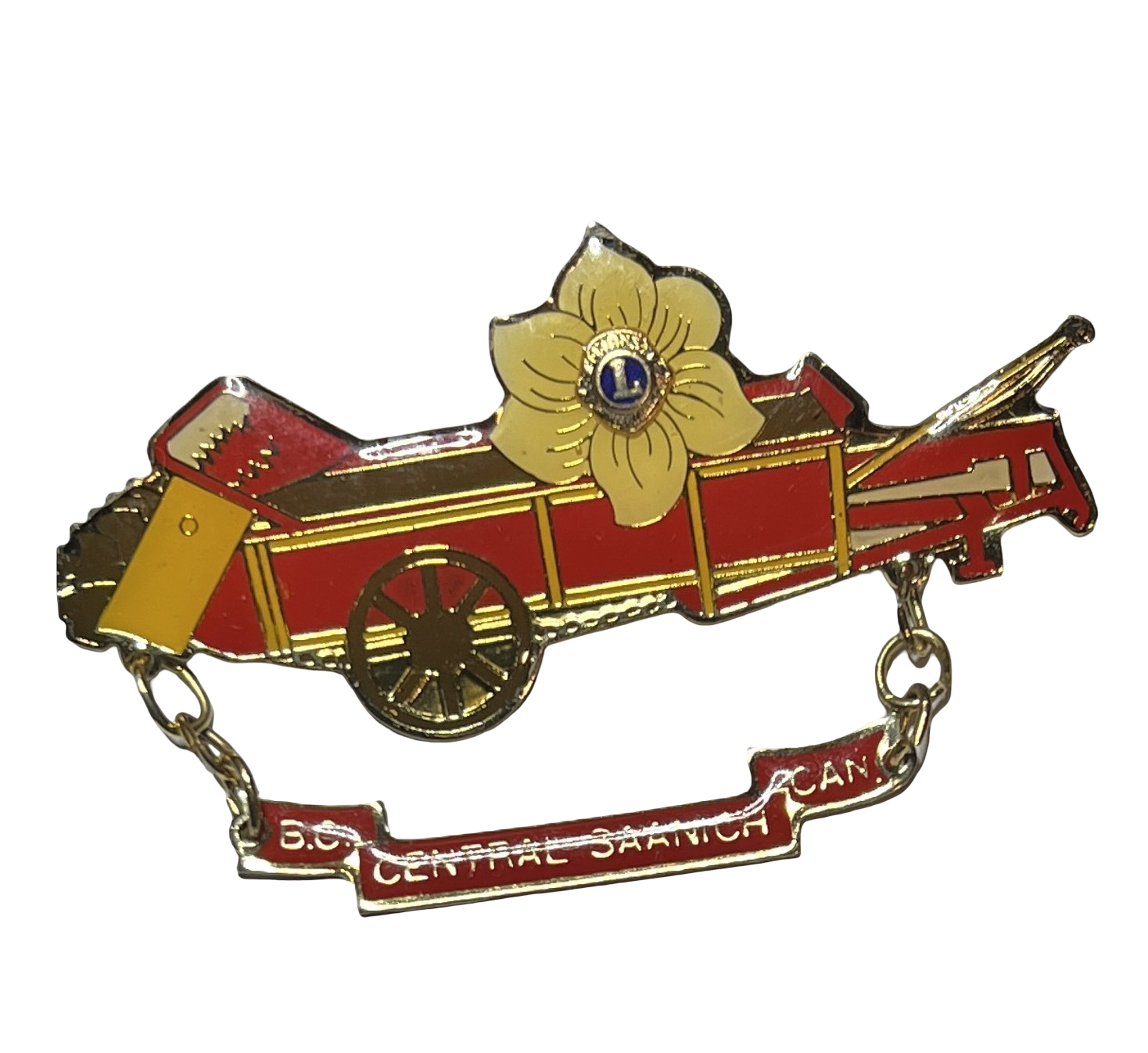 Lions Club International B.C. Saanich Pin