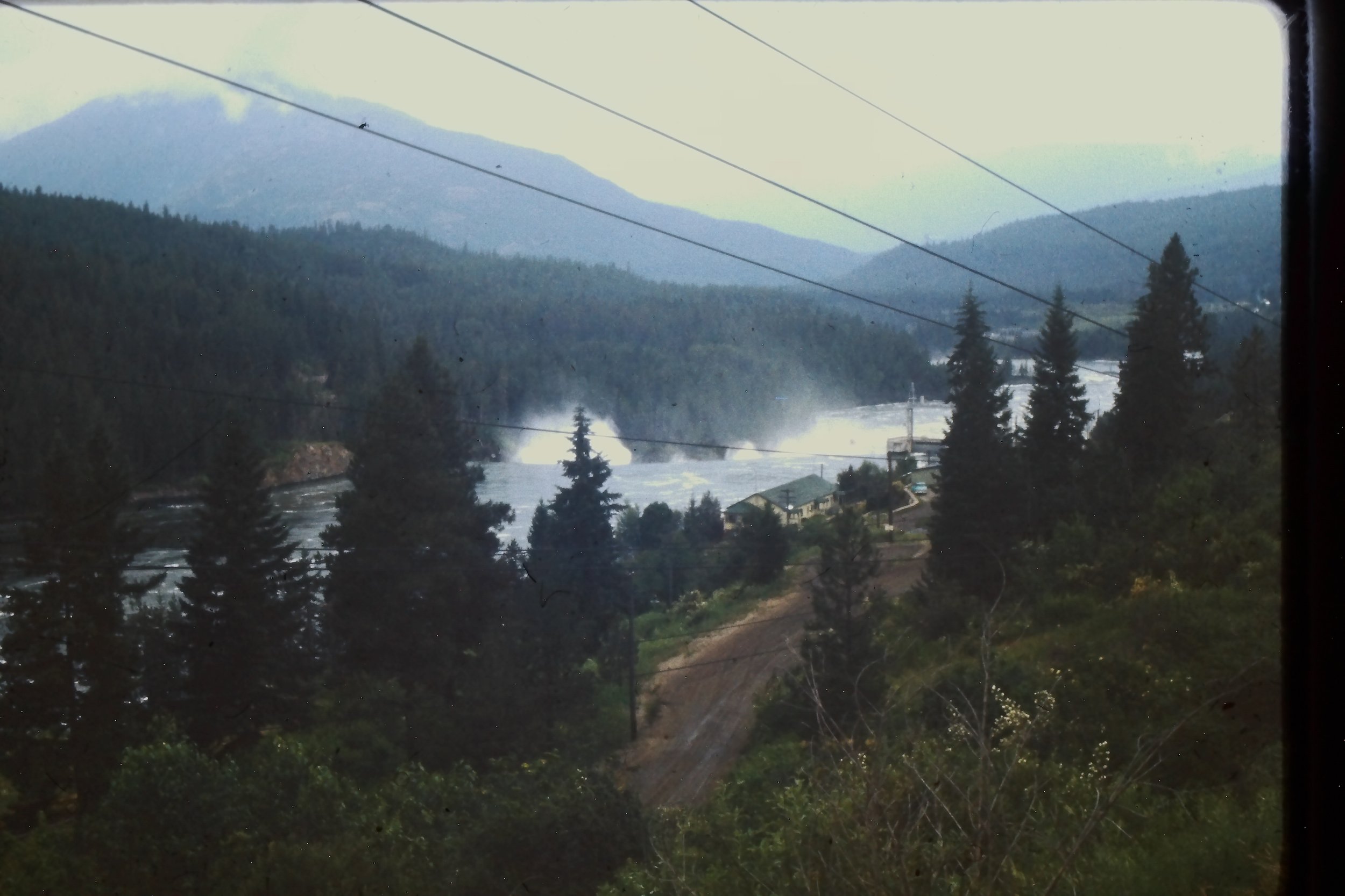IMAG0021.JPG