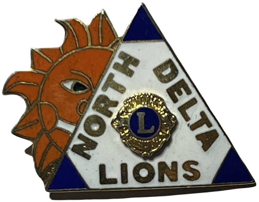 Lions Club International North Delta Pin