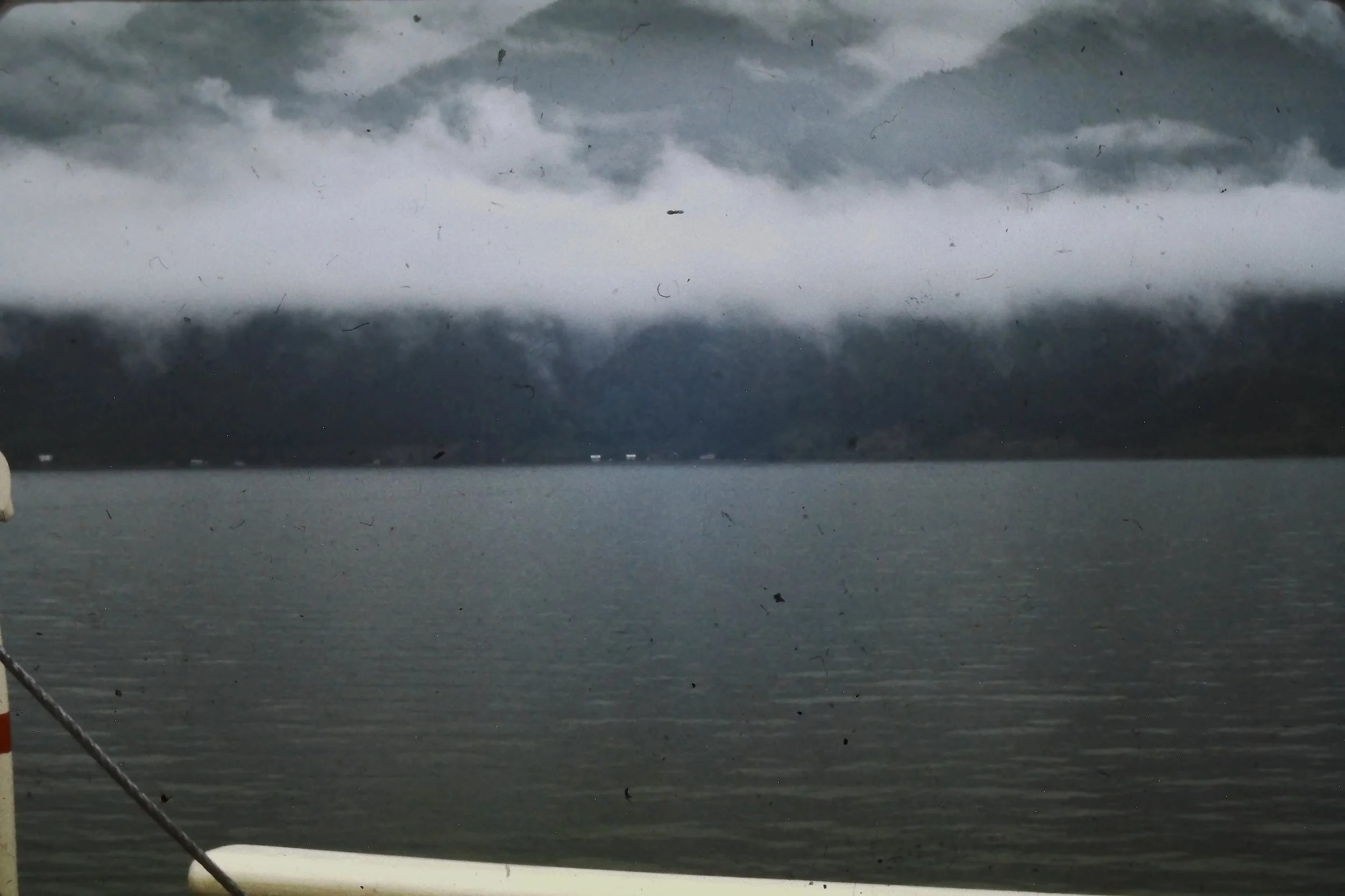 IMAG0007.JPG
