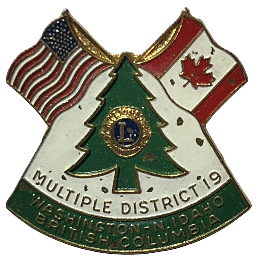 Lions Club International Unity Pin - Multiple District 19