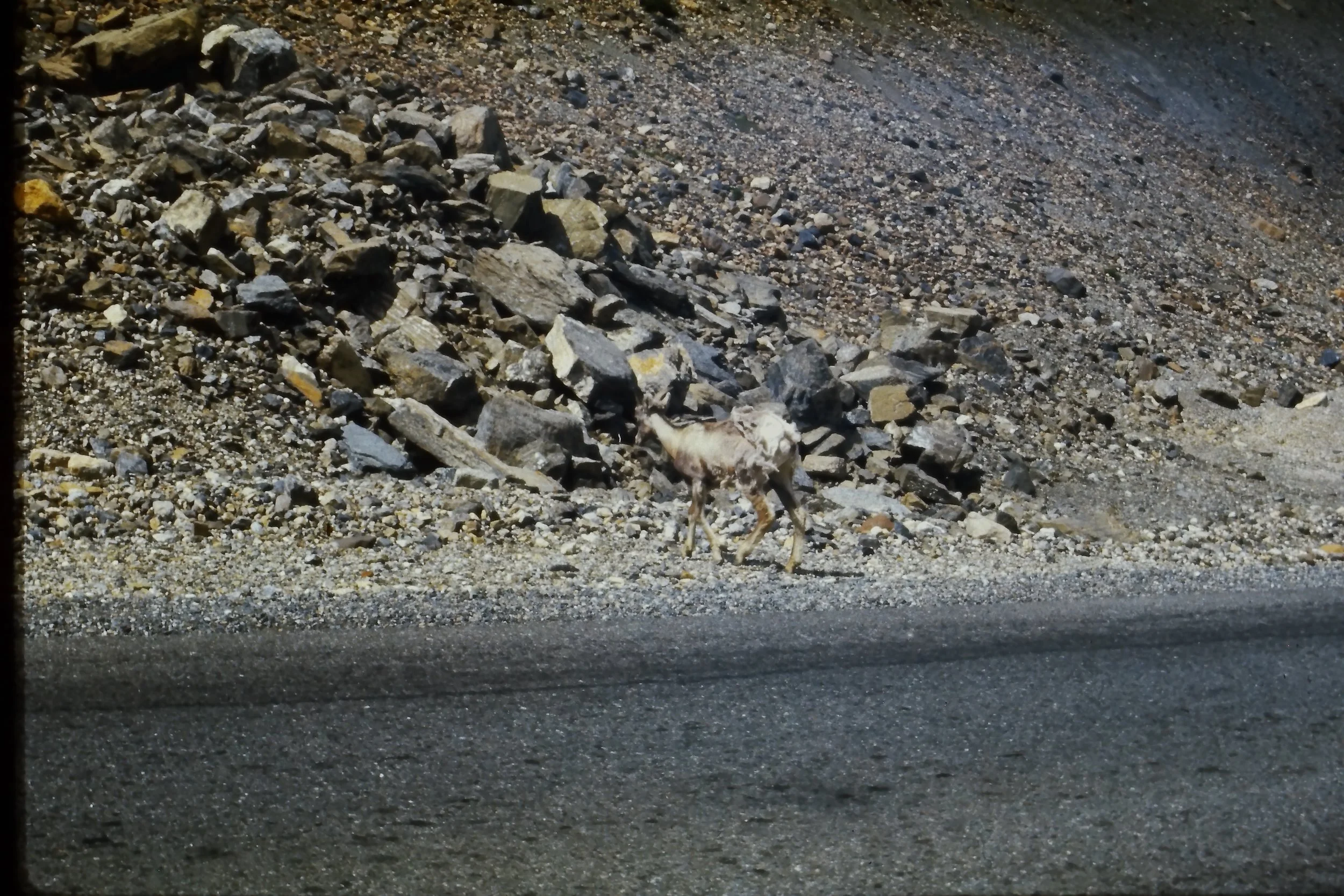 IMAG0026.JPG
