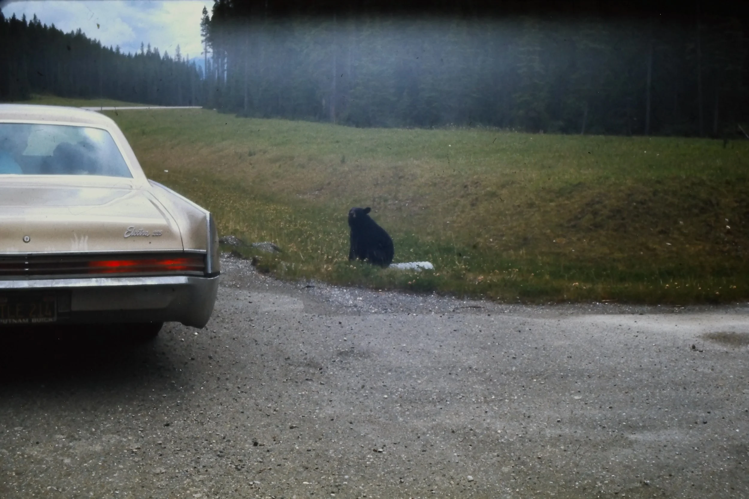 IMAG0012.JPG